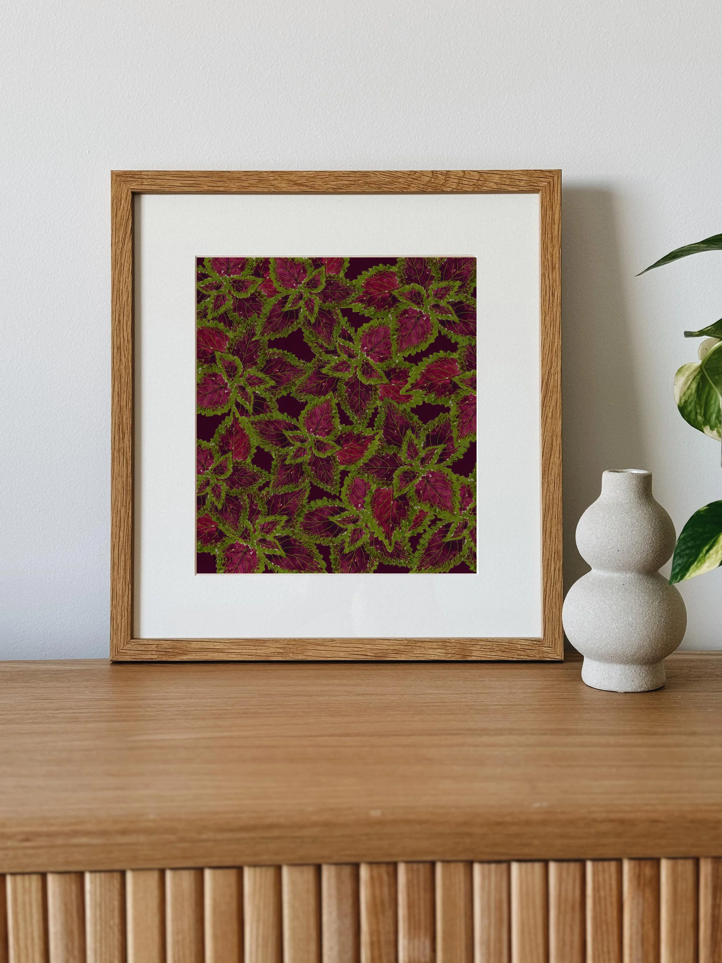 COLEUS.jpg