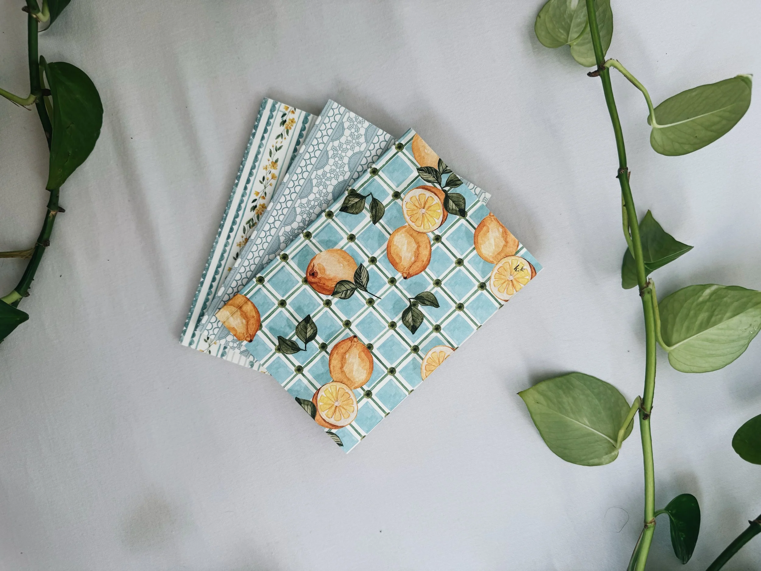 C5666B58-8463-4CB6-9449-795F240CEEDE.jpg (Copy) (Copy)