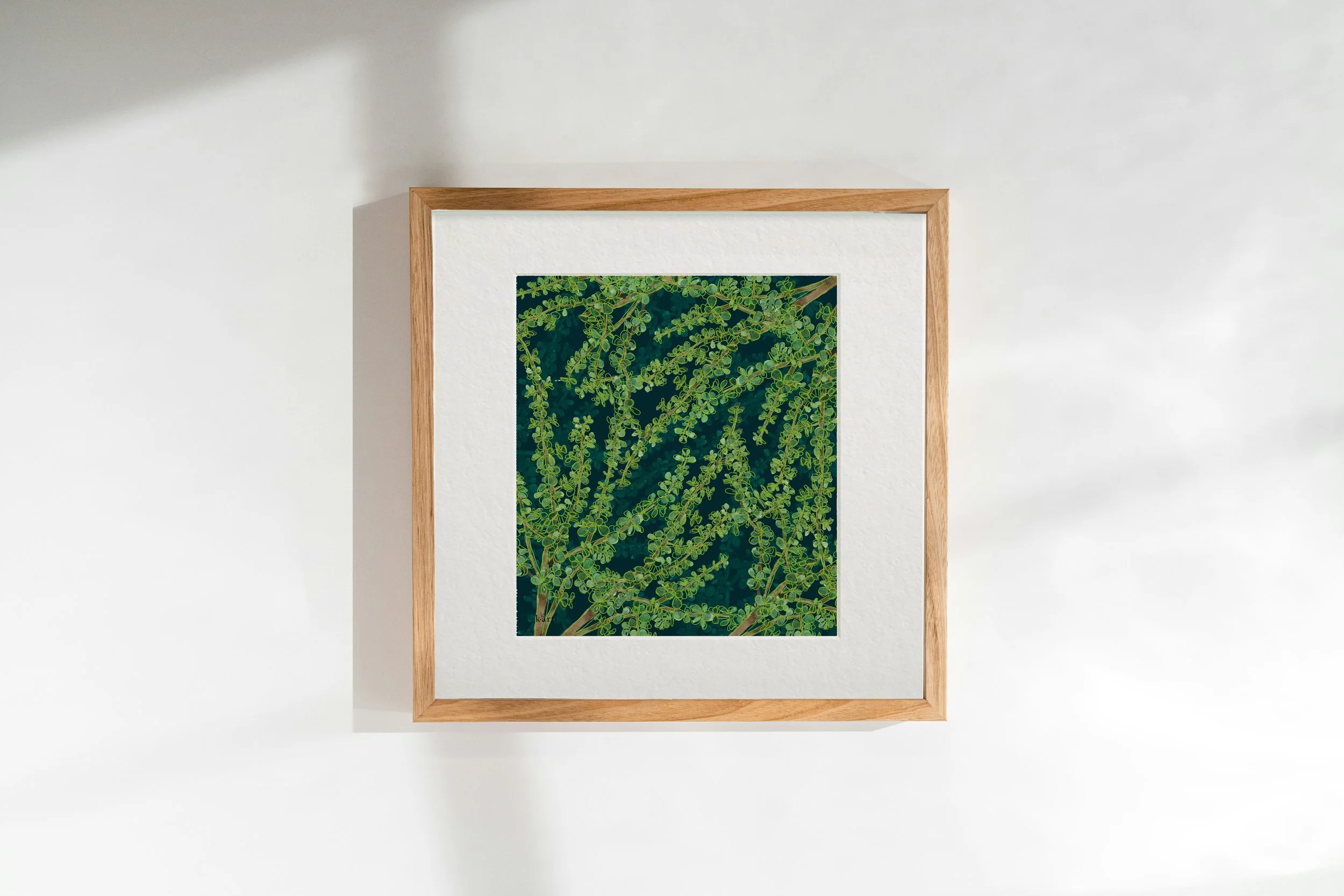 ELEPHANT BUSH 2.jpg