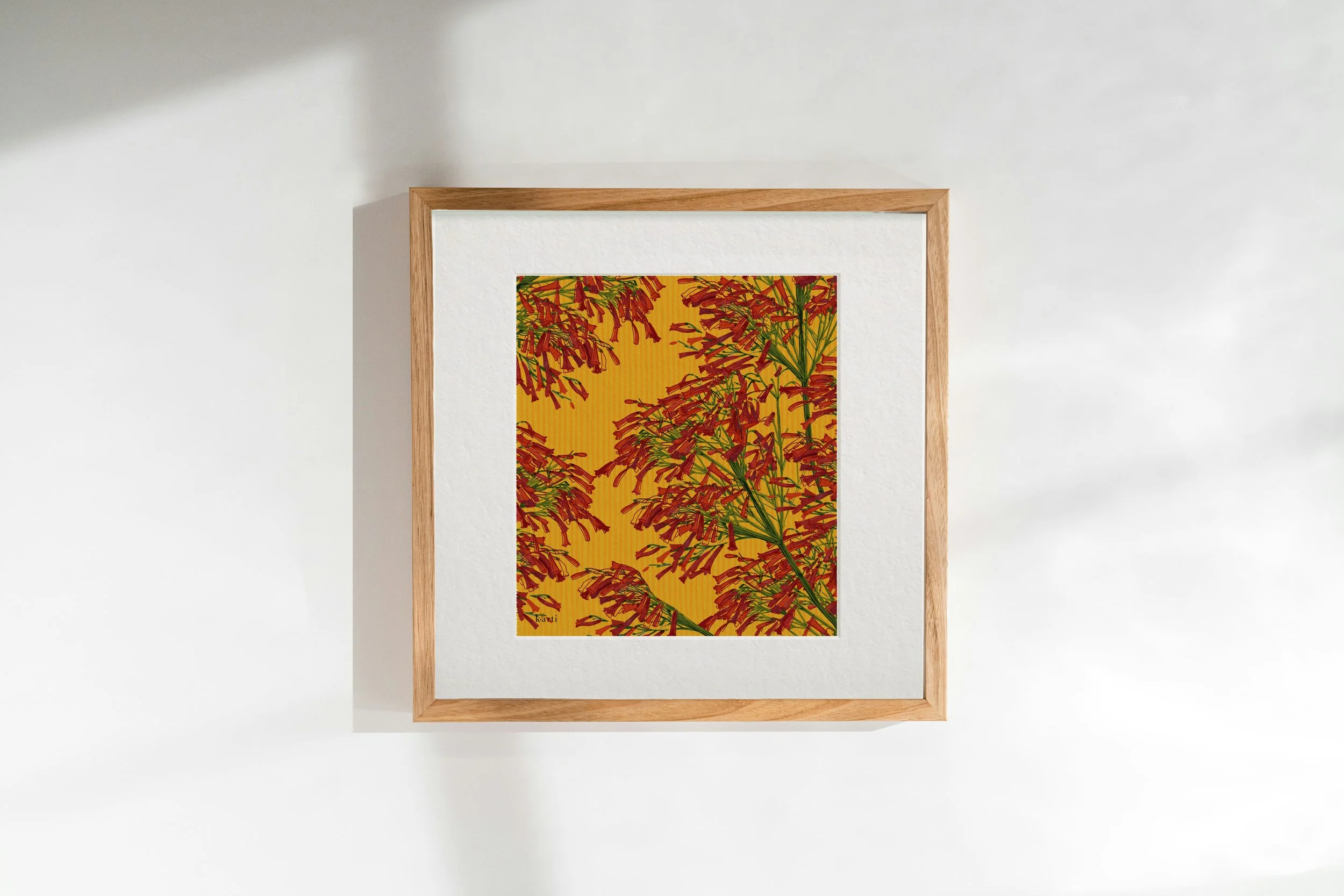 Il-Ġardina | Russelia  | Art Print