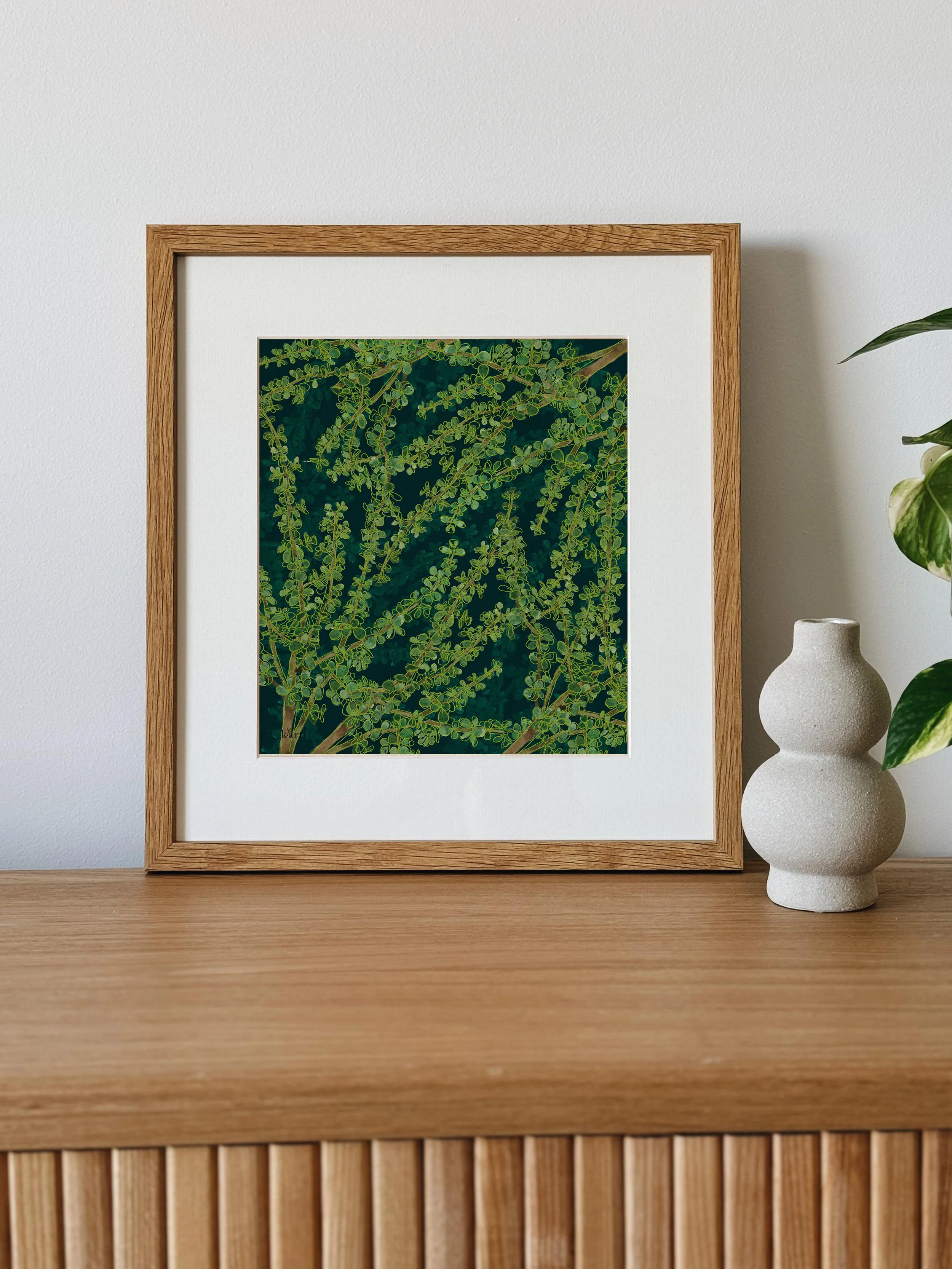ELEPHANT BUSH.jpg