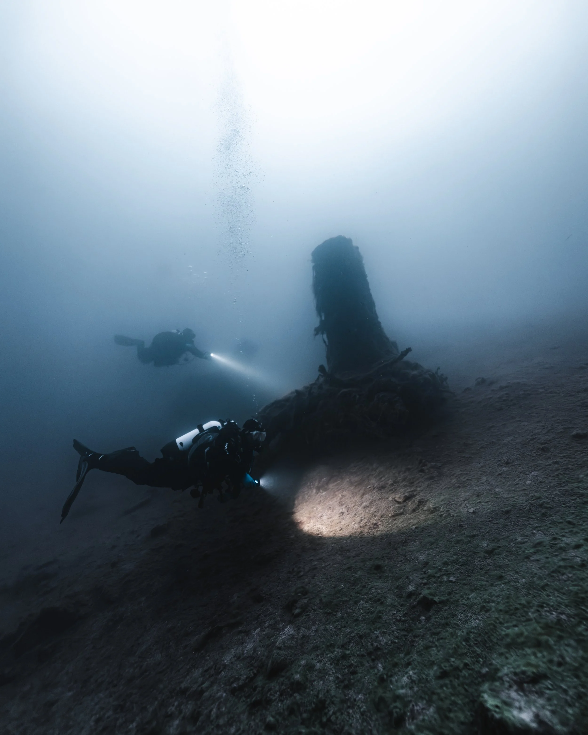 PLD-BE7A9109.jpg