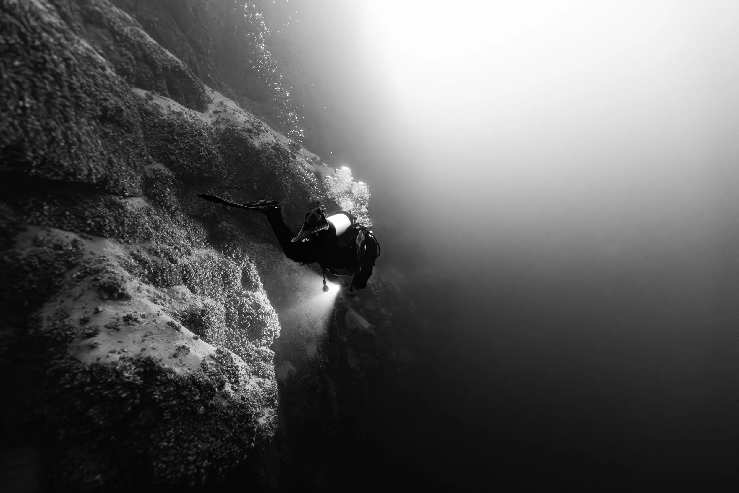 Dry Gloves - Ultima Twist System