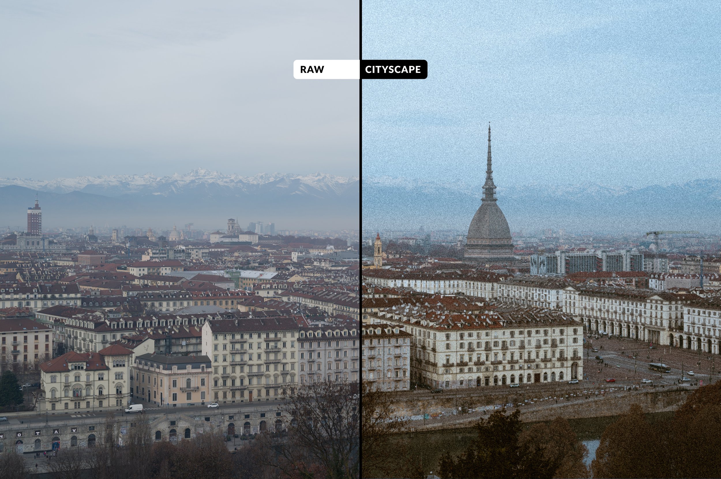 Turin-4202.jpg