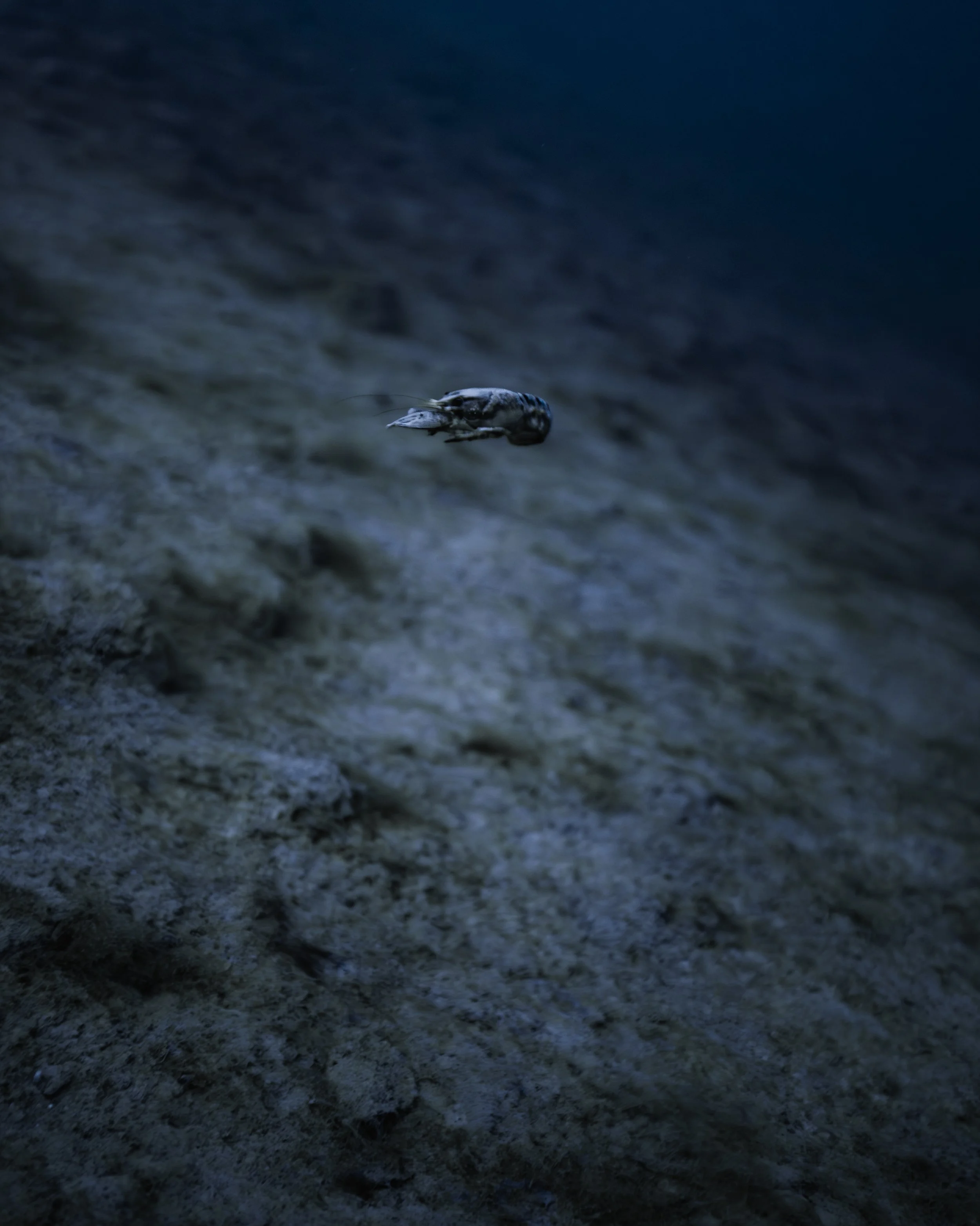 PLD-BE7A9098.jpg