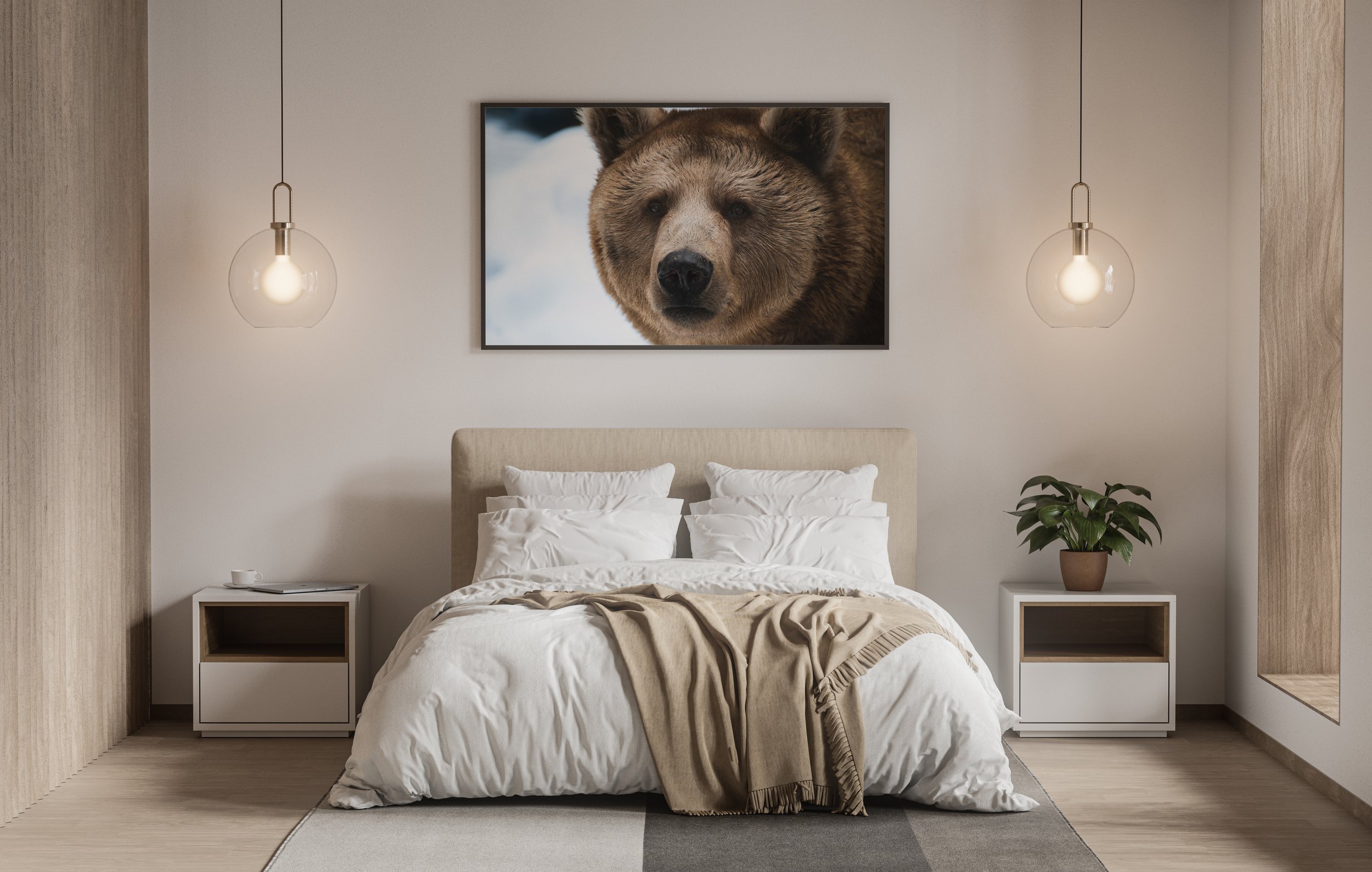 Syrian bear.jpg