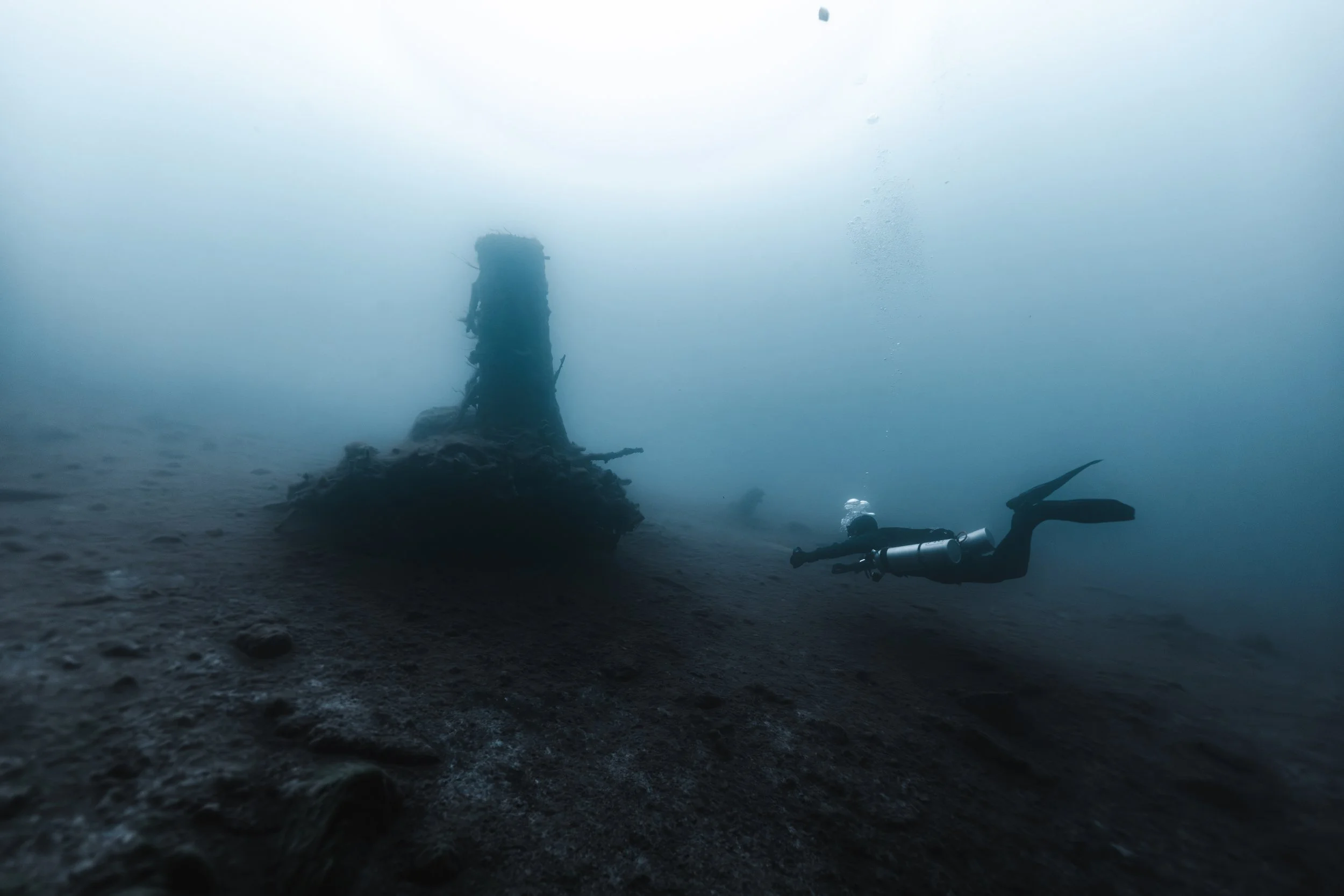 PLD-BE7A8987.jpg