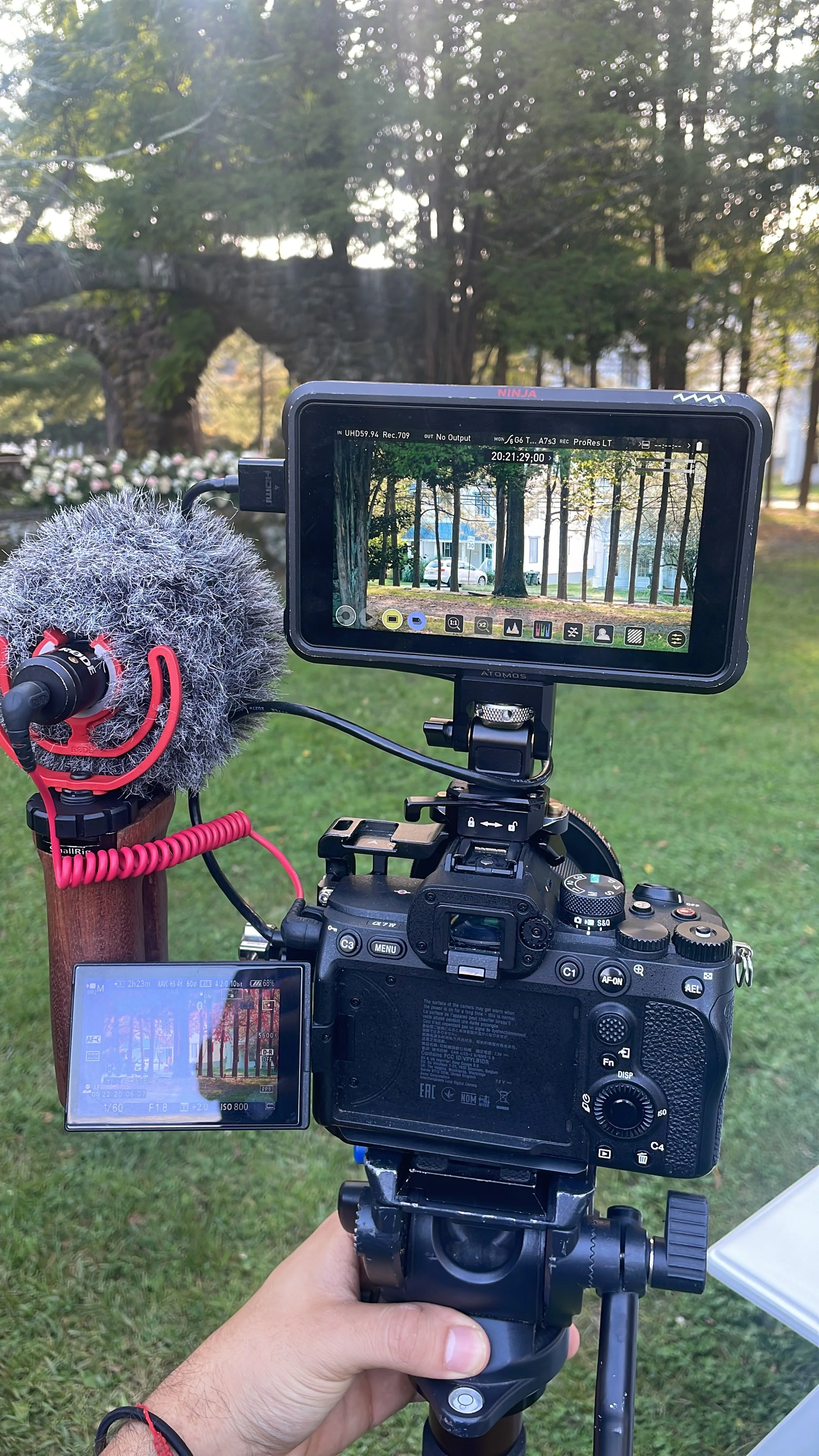 AC9BC87A-D9FE-473A-B36F-292AC2FA5EB1 2.JPG