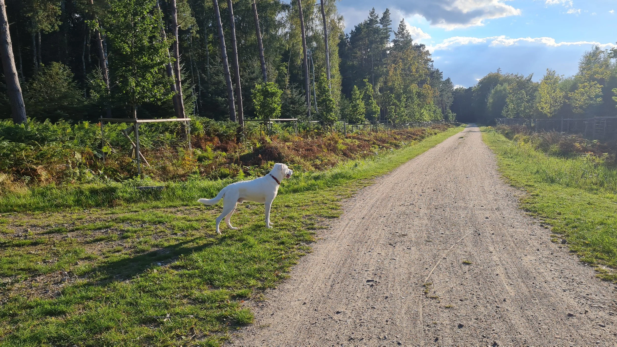 20220922_165959.jpg