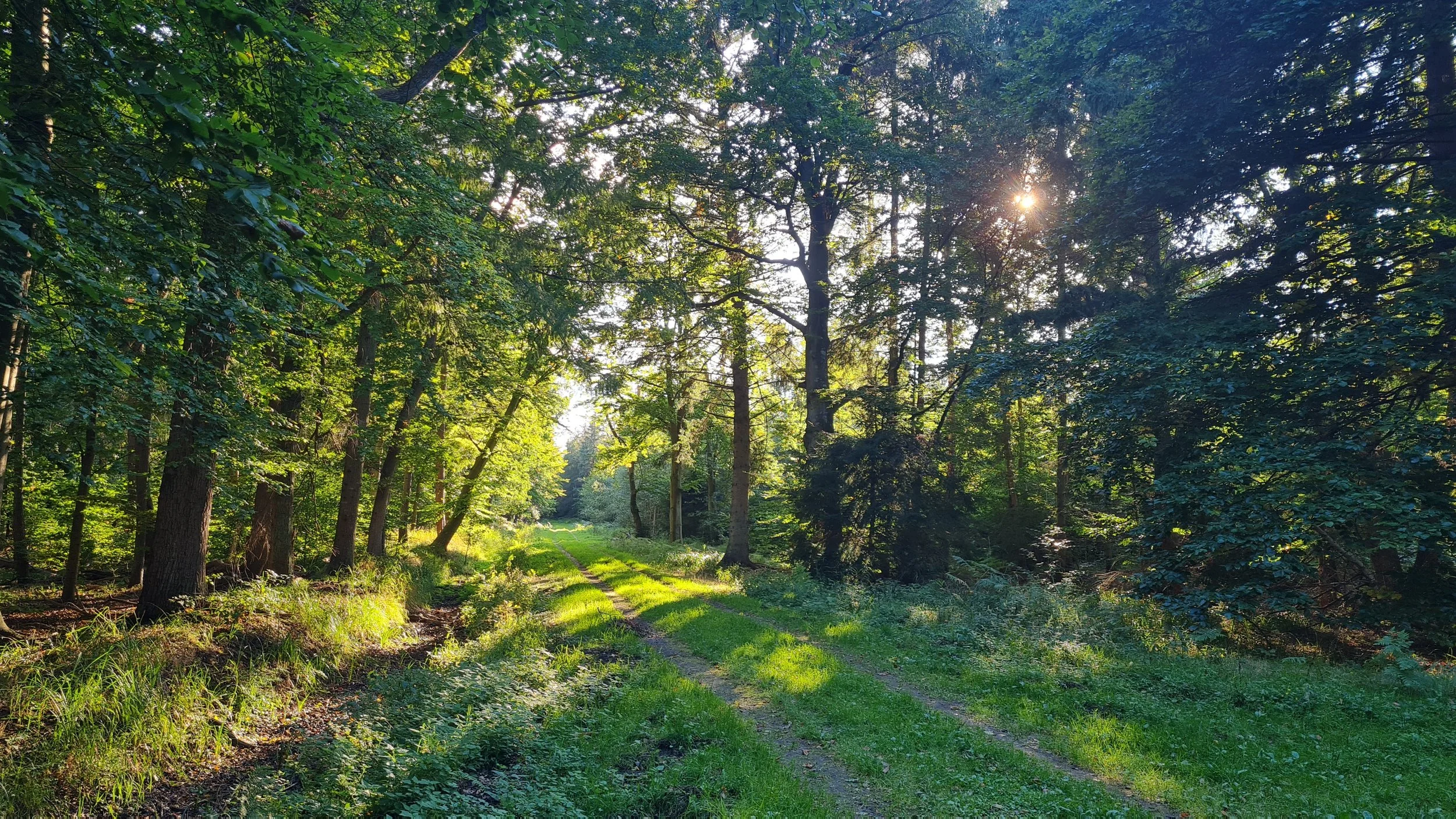 20220922_170825.jpg