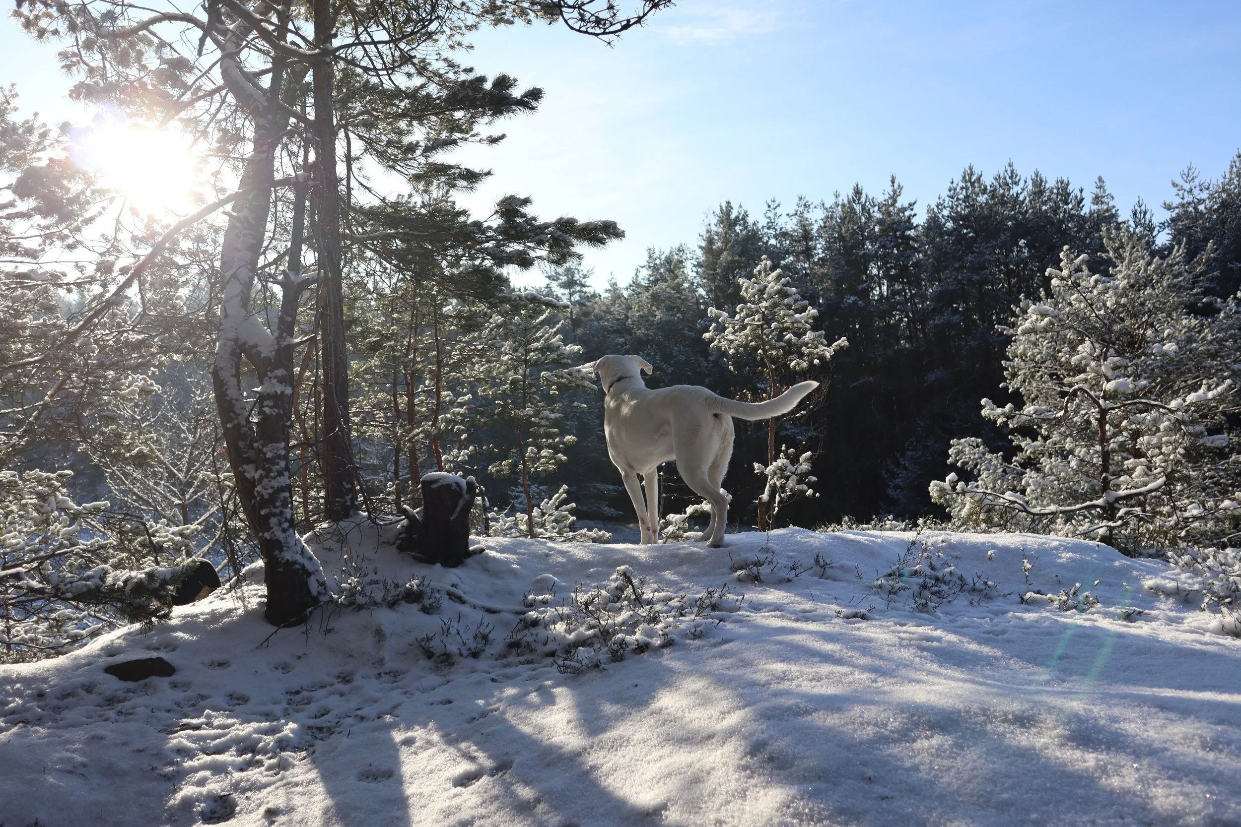 Tag 7 // Entschleunigung I - Vor dem Spaziergang
