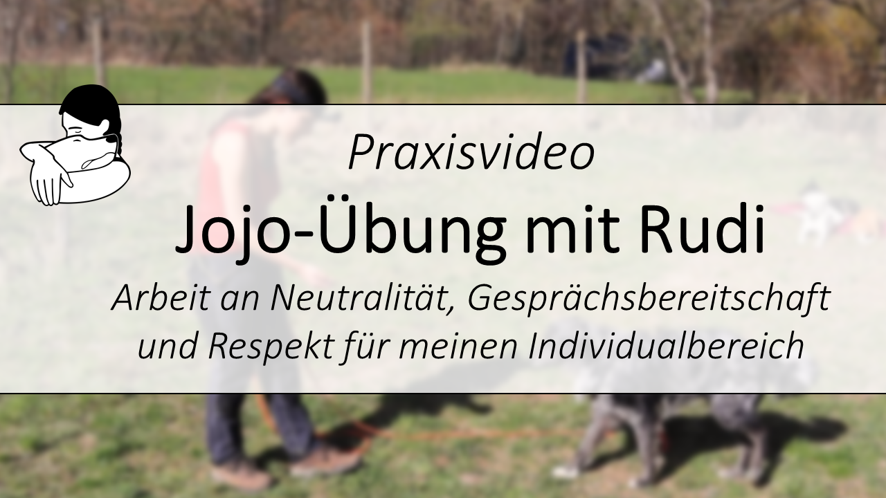 Jojo-Übung mit Rudi
