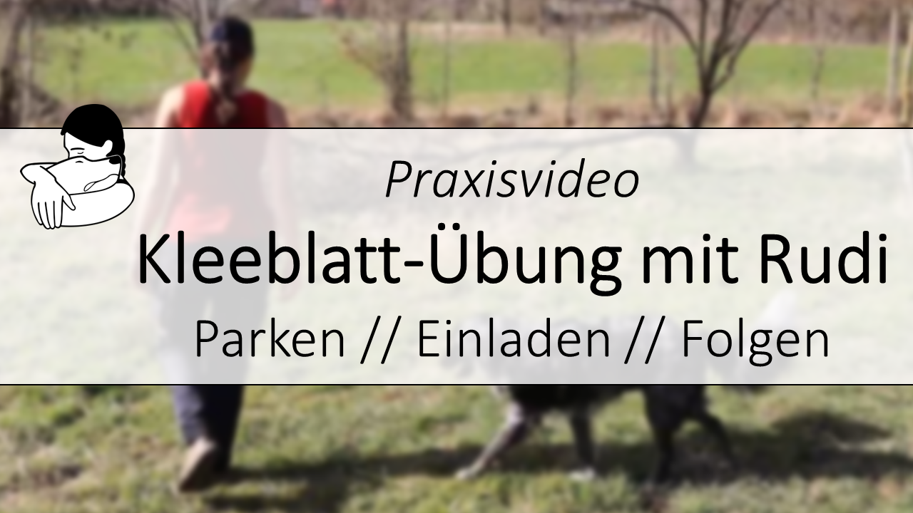 Kleeblatt-Übung mit Rudi