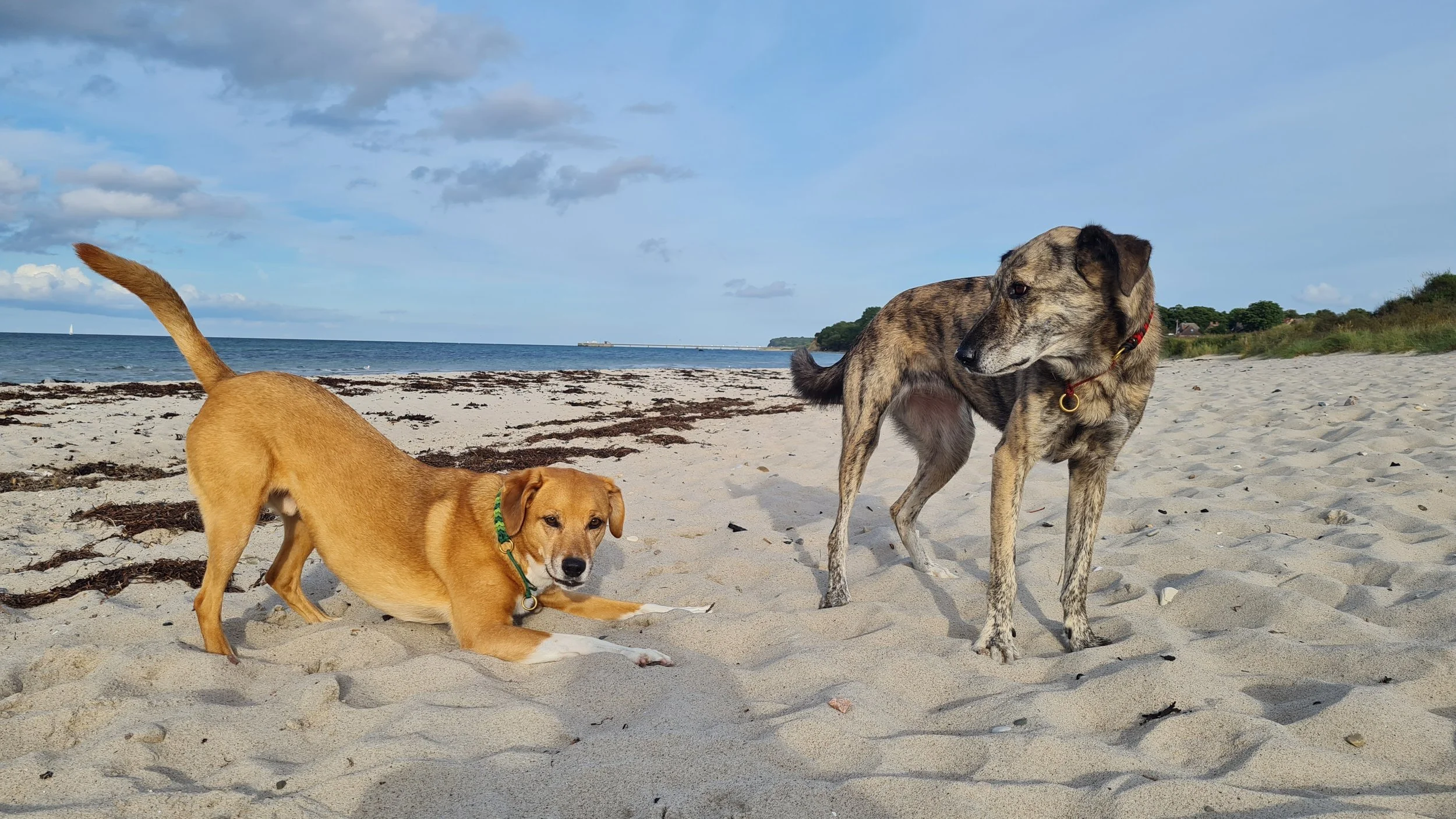 Serie: Grundlagen der Körpersprache