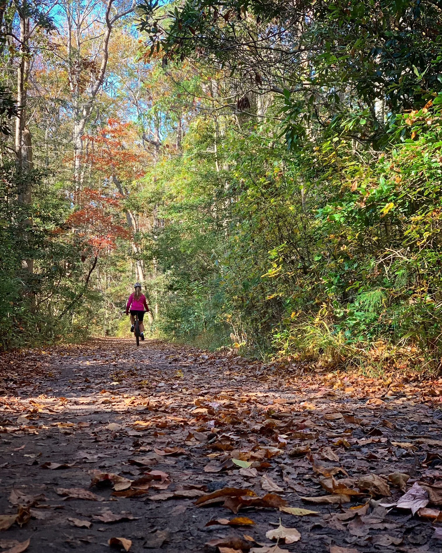 Geocaching in First Landing State Park, VA