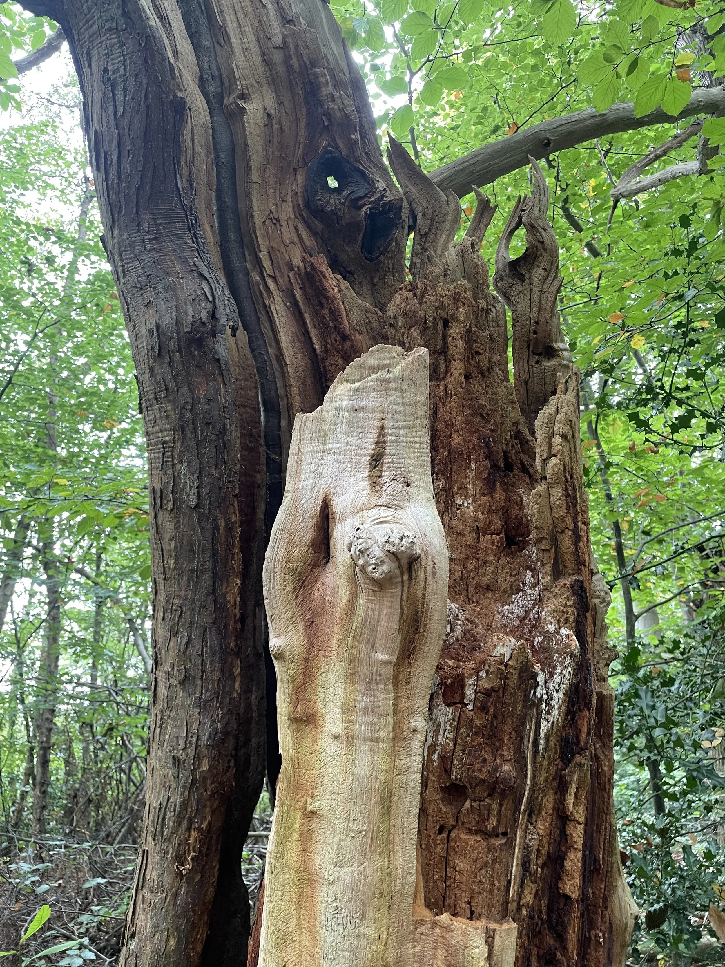 Present, yet Invisible: the Church’s Problem with Gay People