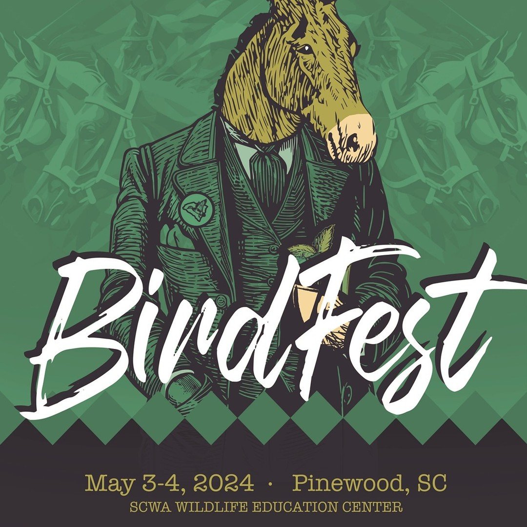 Birdfest is here! Tomorrow morning we participate in the inaugural band competition, duo-style, up in Pinewood, SC about 1 hour and change from Charleston. Saddle up and join us for a full day of top-flight bluegrass tunes! It all starts with the ban