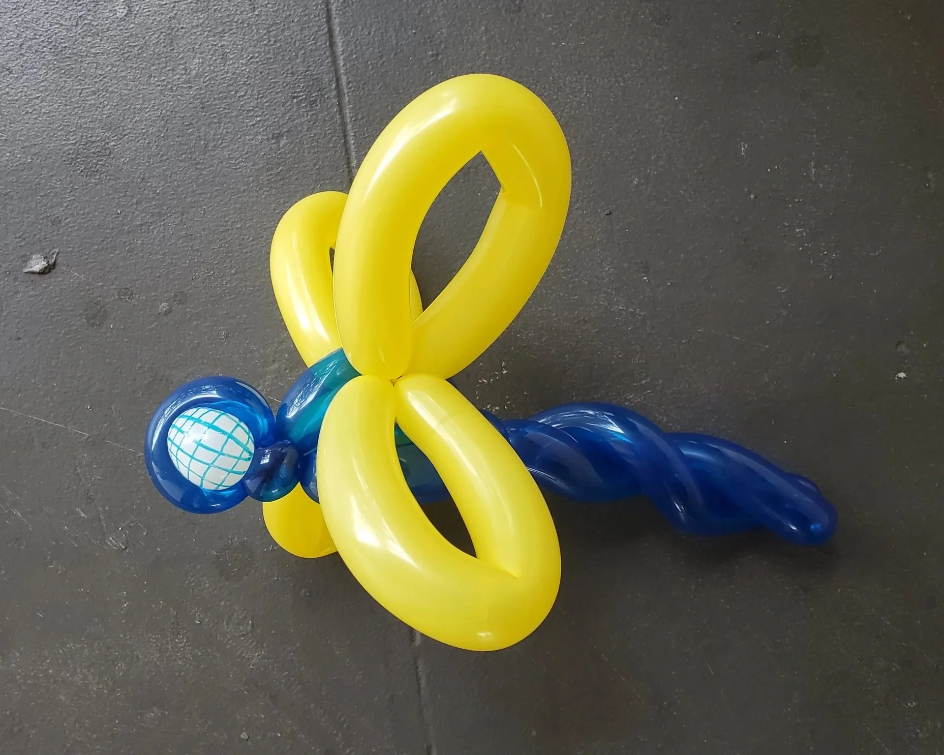20220520_144808.jpg