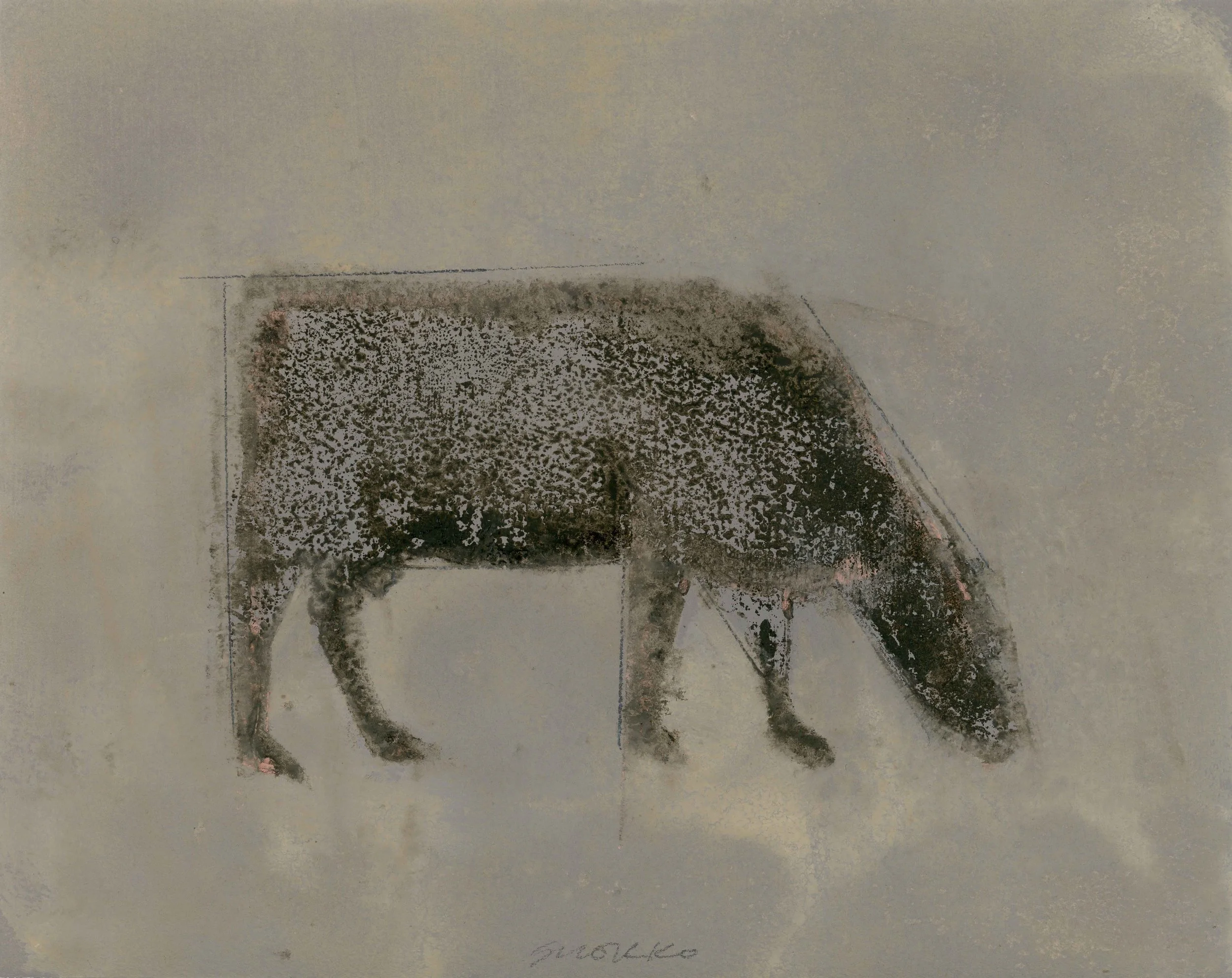 Grazing cow in profile, in neutral gray tones.