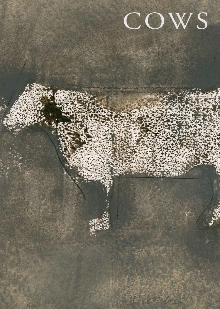 glenn-suokko-studio-books-cows-.jpg
