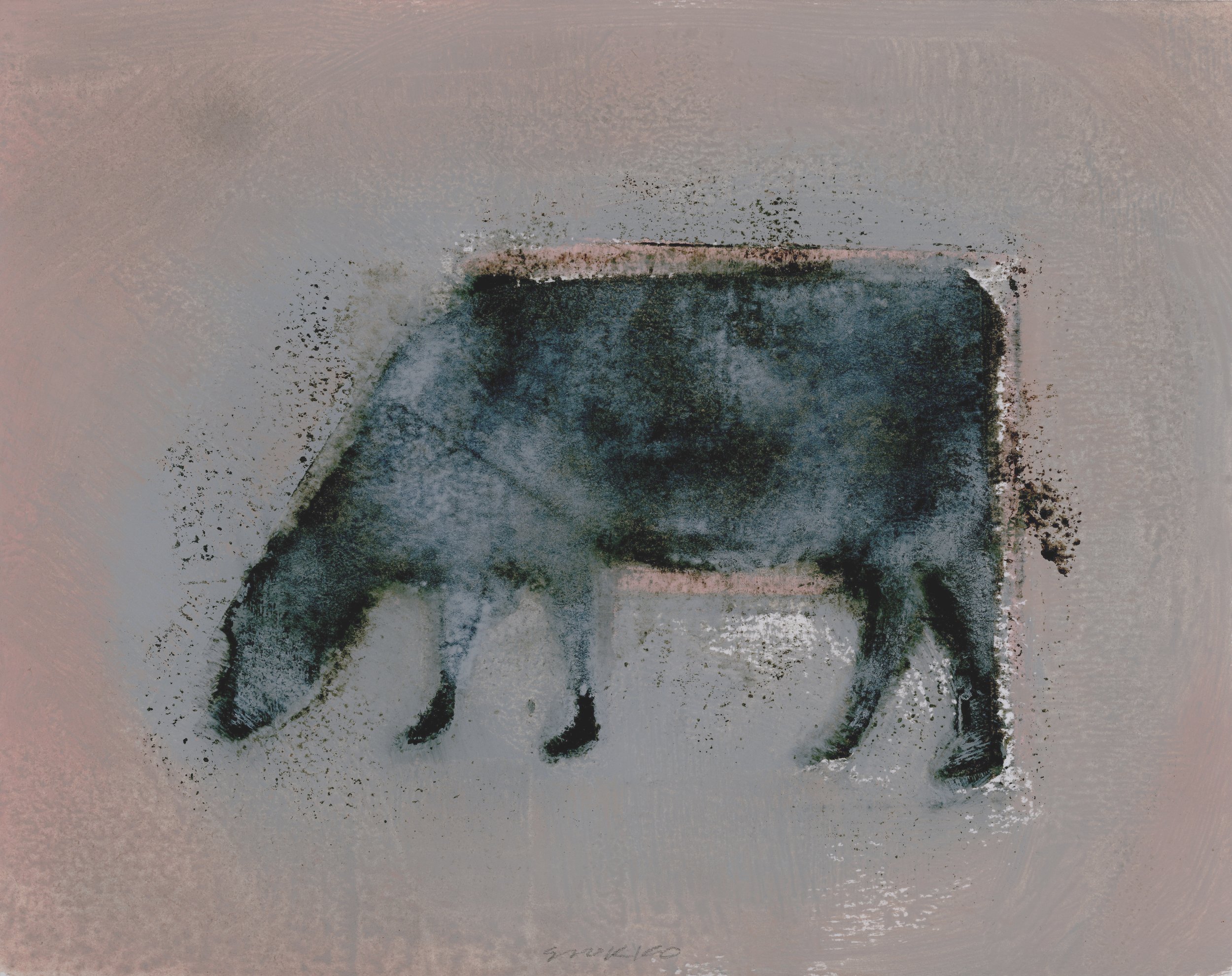 Angus: Grazing Cow XII
