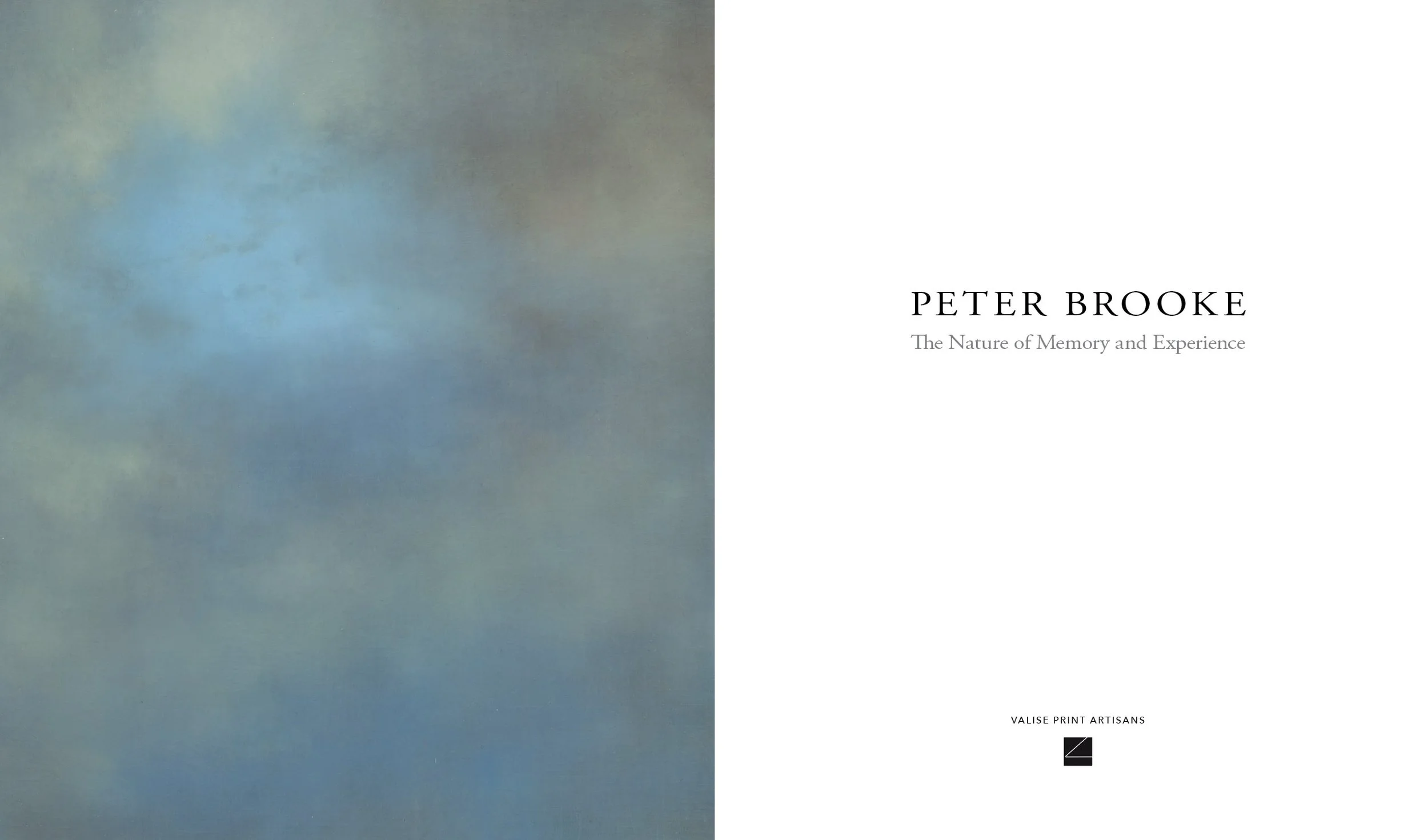 Peter Brooke: The Nature of Memory and Experience, book: title page.