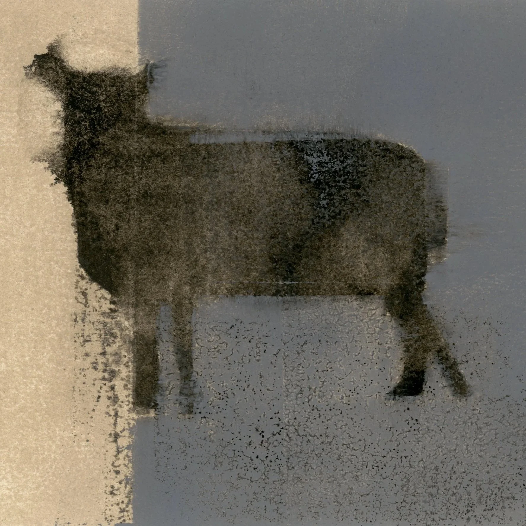 The Stillness of Animals