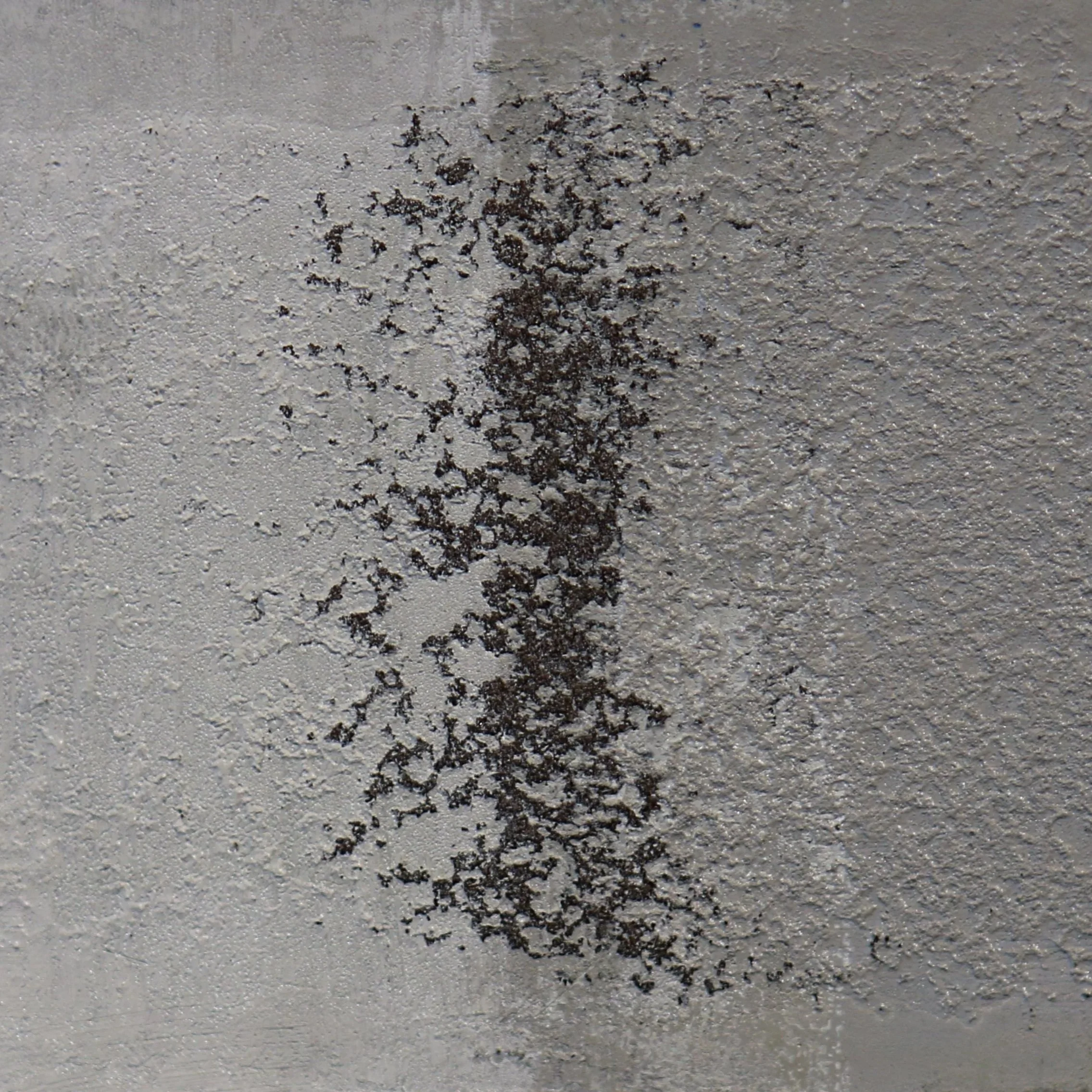 Dichotomies and Inspirations