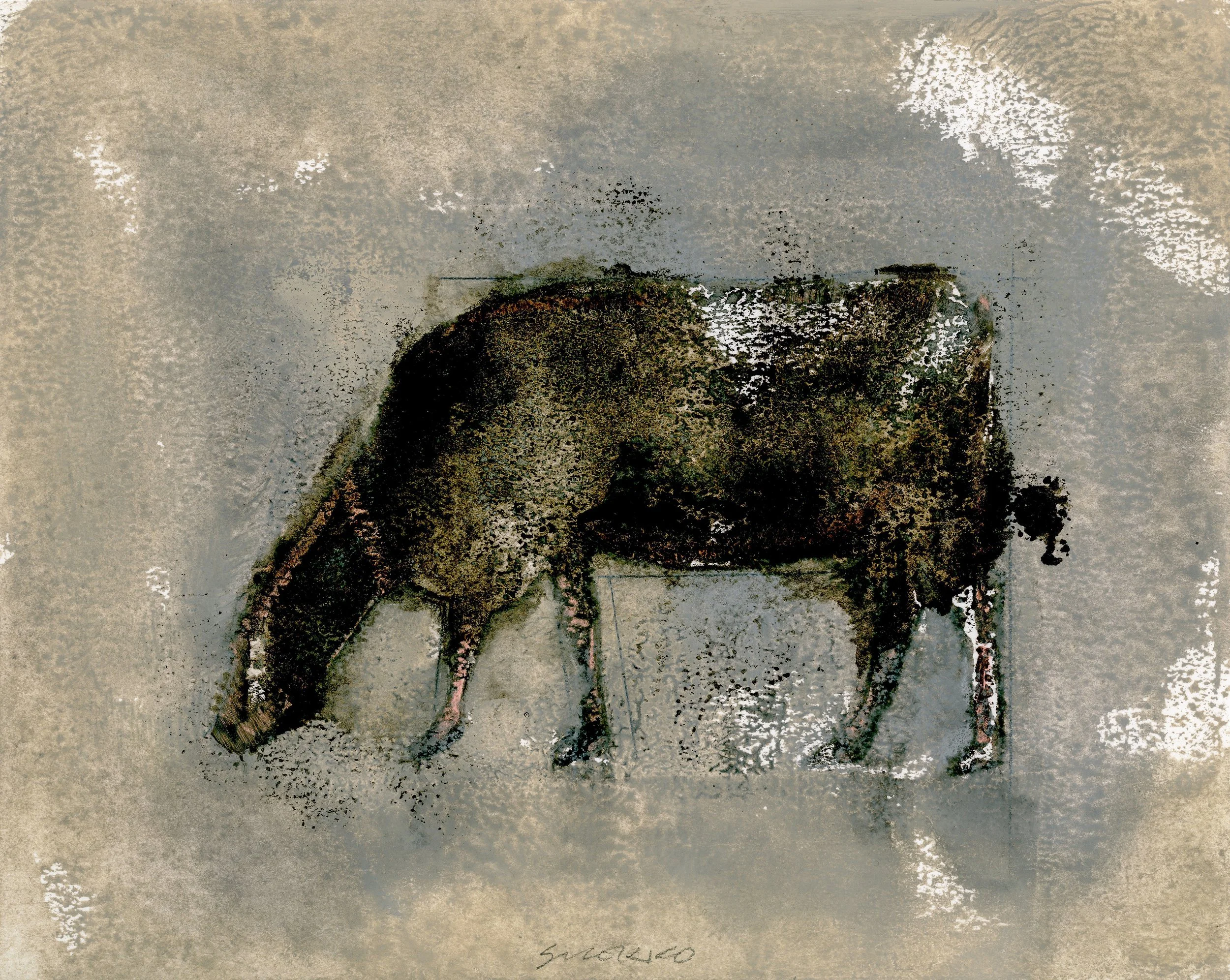 Angus: Grazing Cow XVI