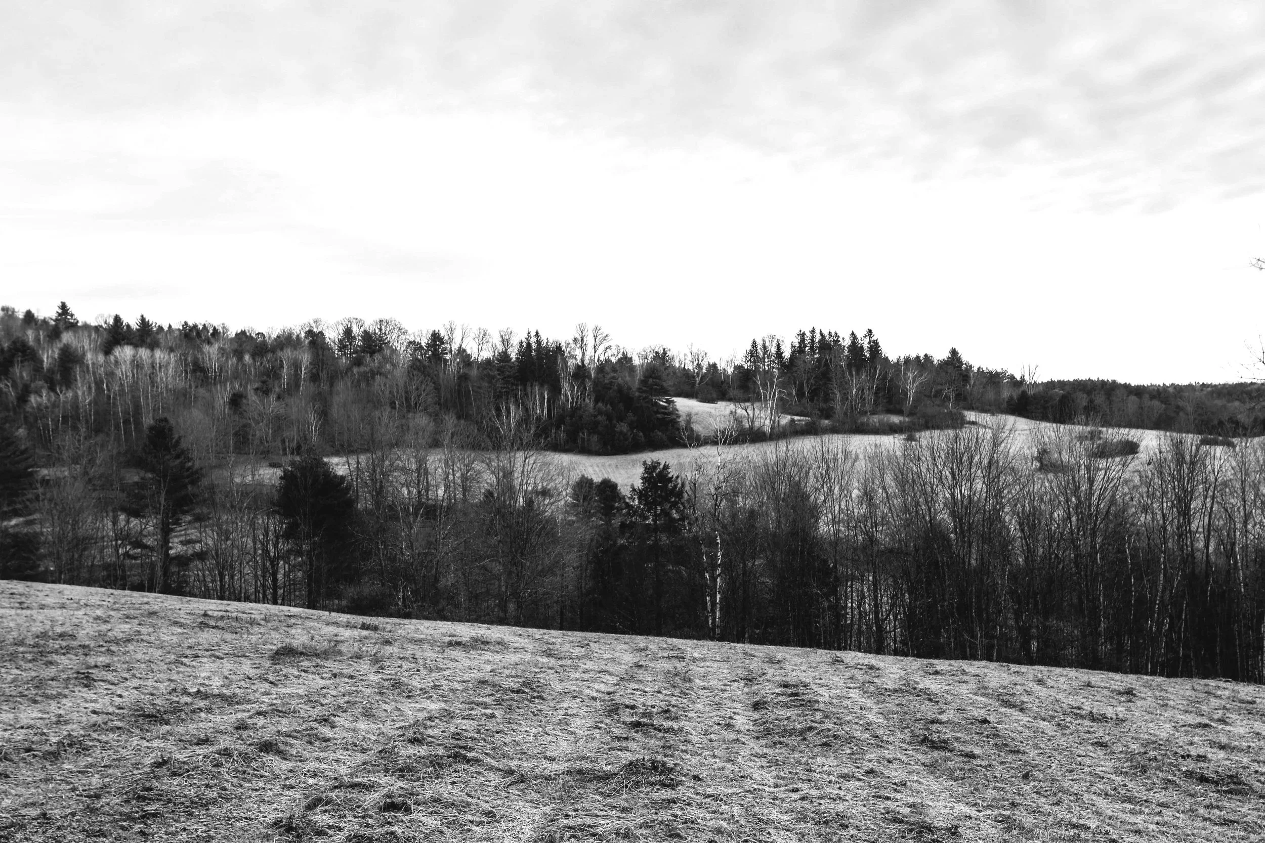 Hills, meadows, and tree lines in Woodstock, Vermont.