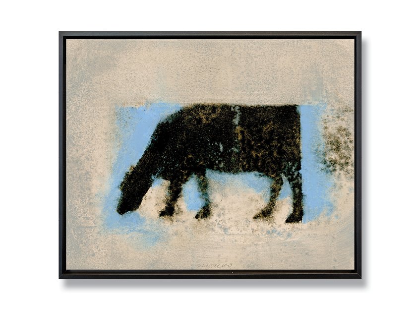 Angus: Grazing Cow V