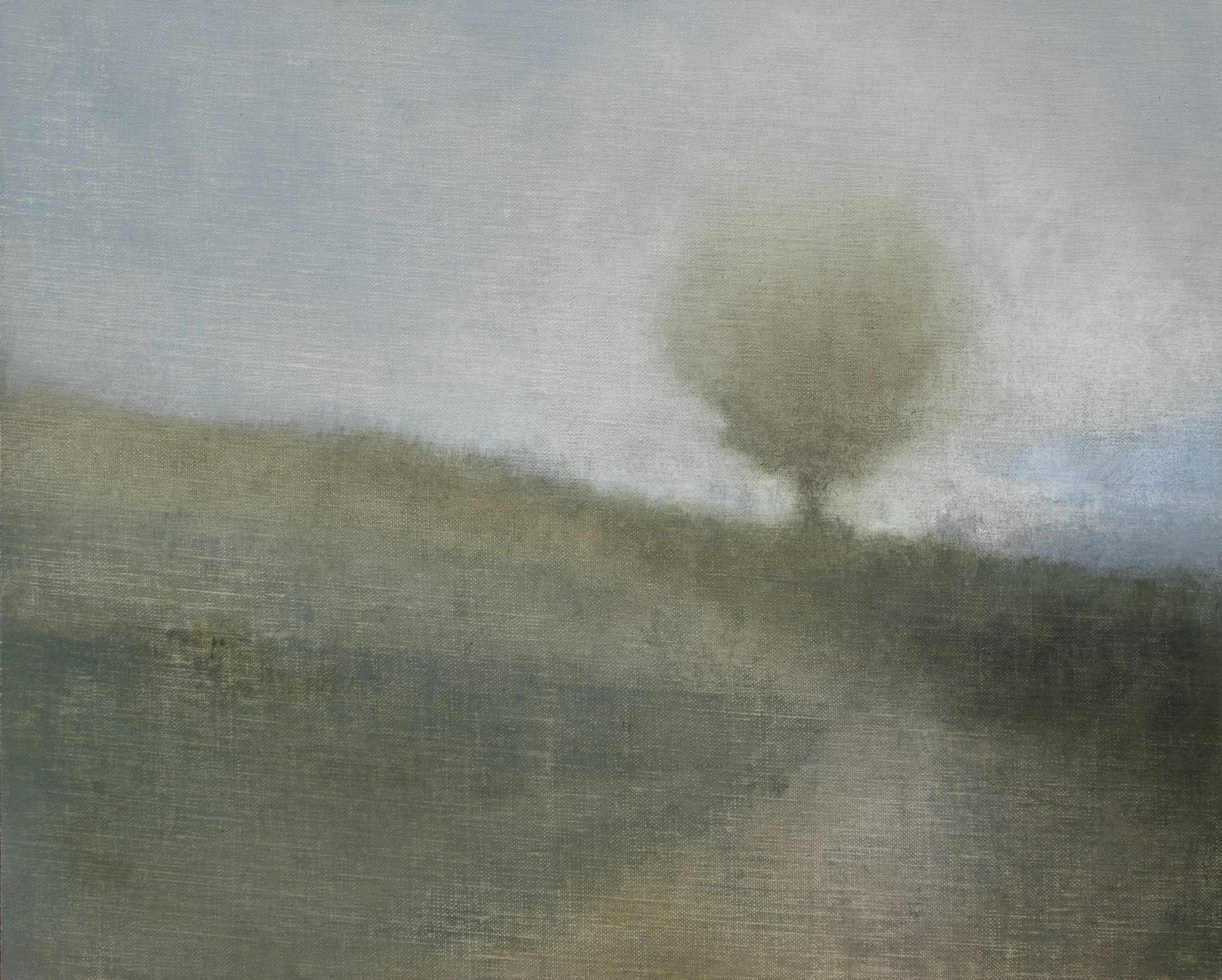 Landscape with lone tree on a sloping hillside.