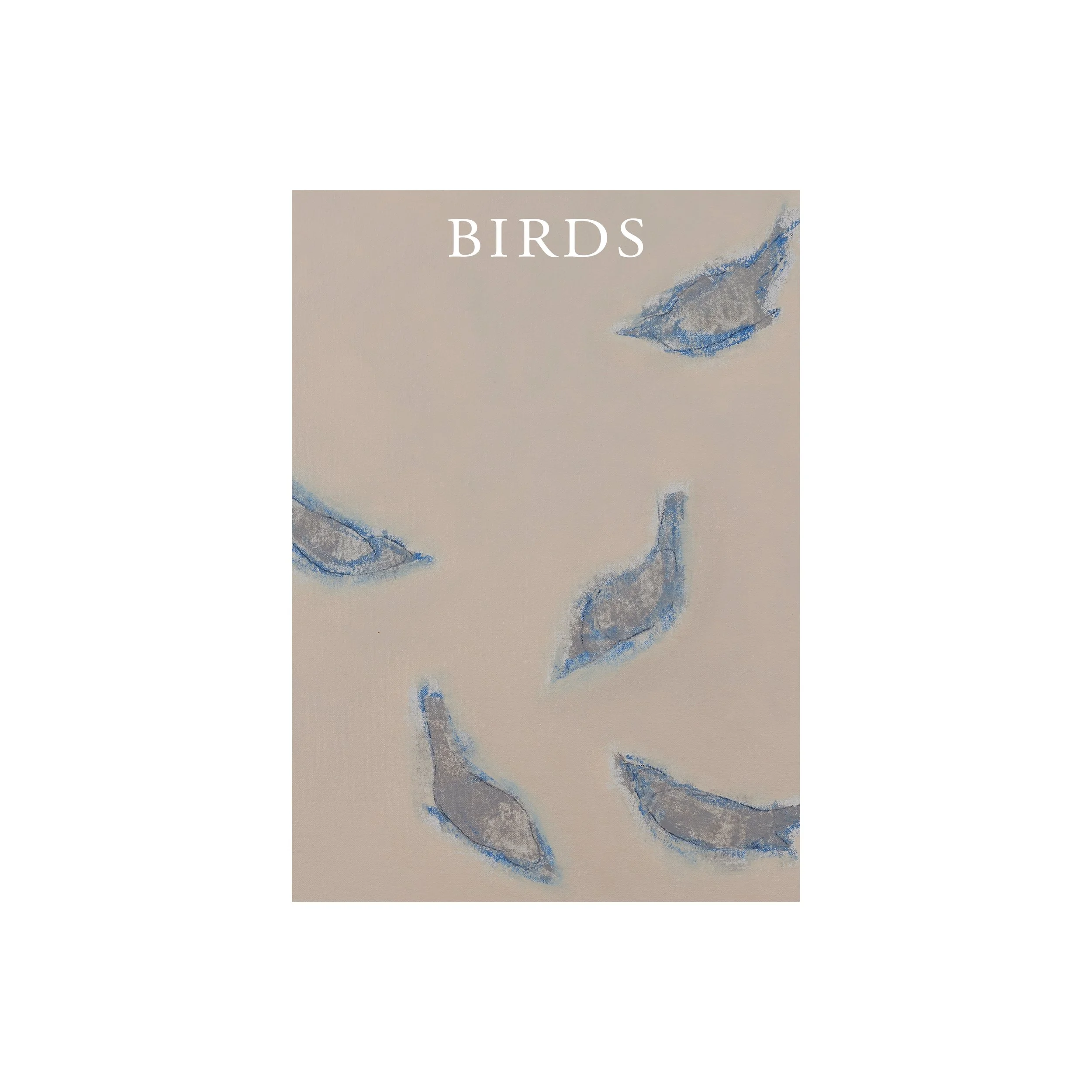 glenn-suokko-books-birds-cover.jpg