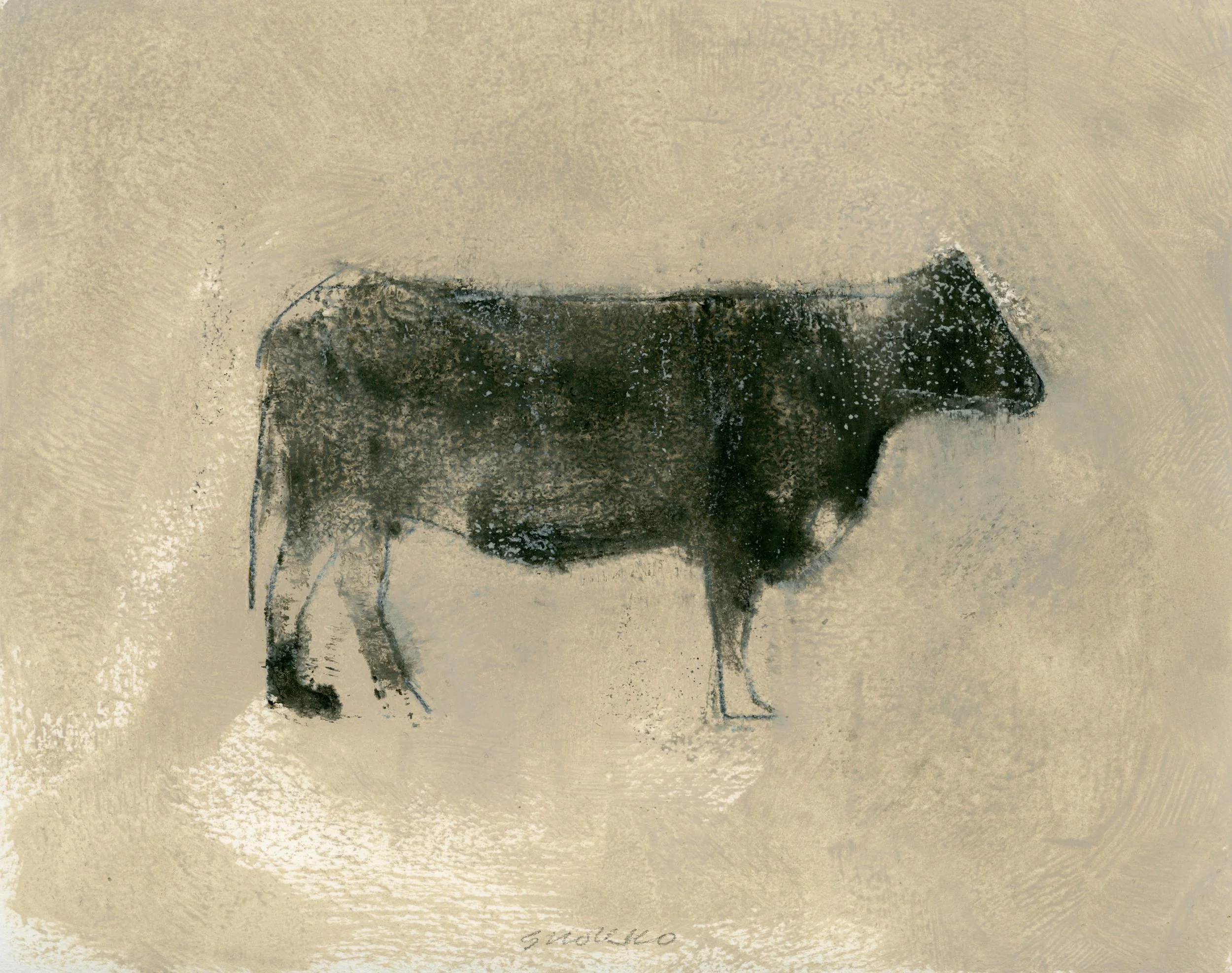 Angus: Standing Cow III