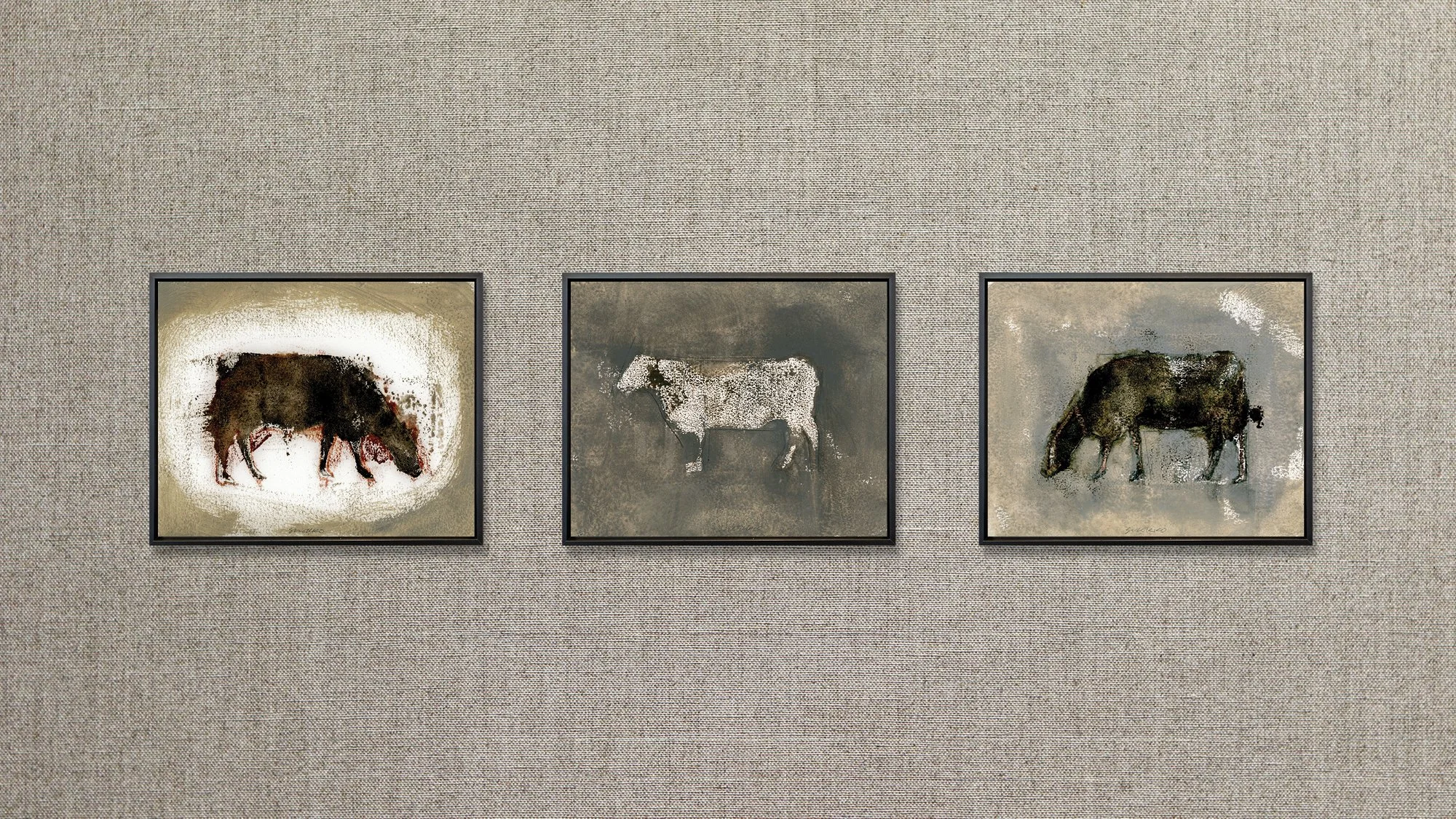 Three small paintings of cows on a linen wall.