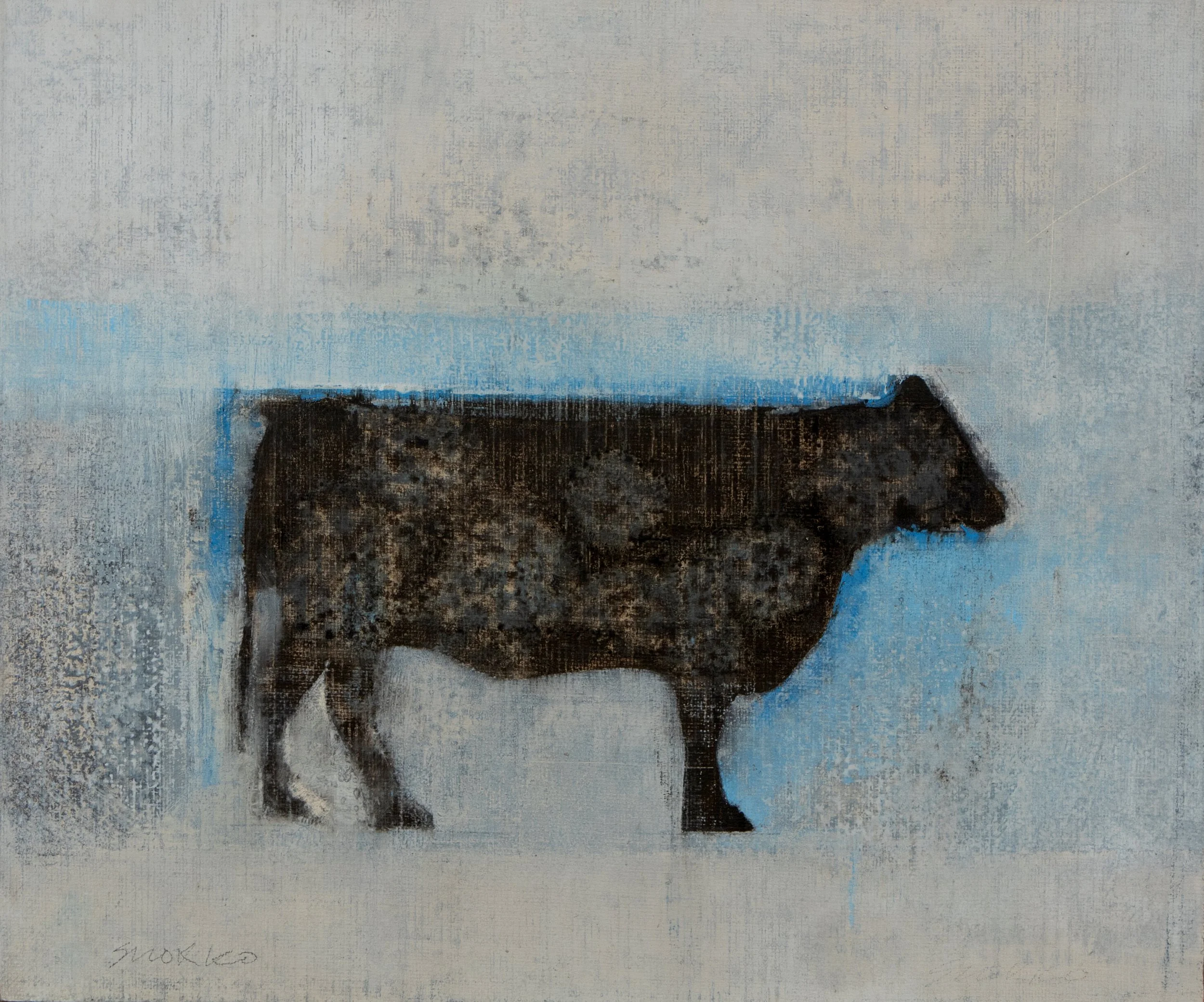 Standing black cow outlined in blue, oil on linen.