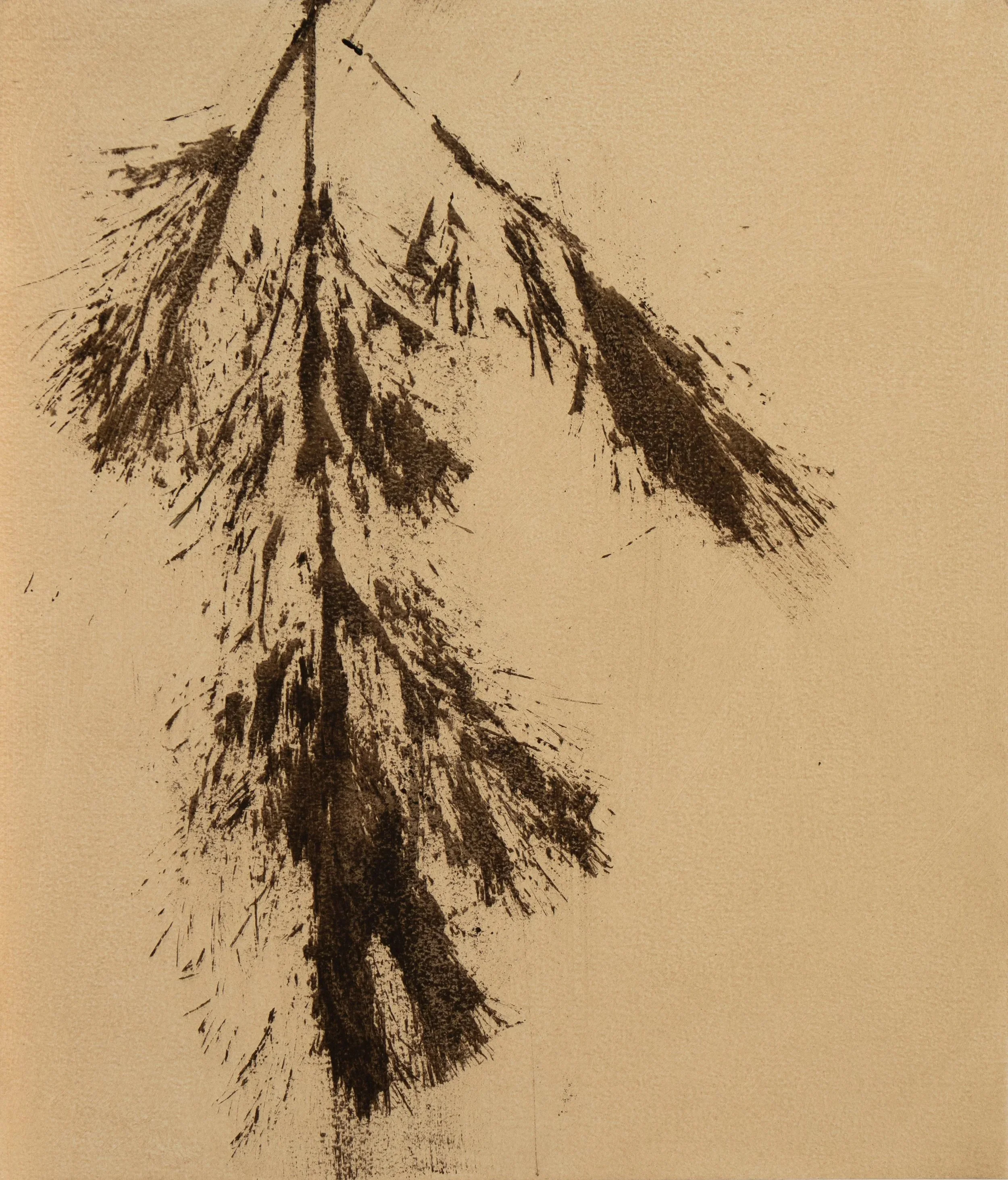Pine branches in a quiet, minimalist composition, oil on paper.