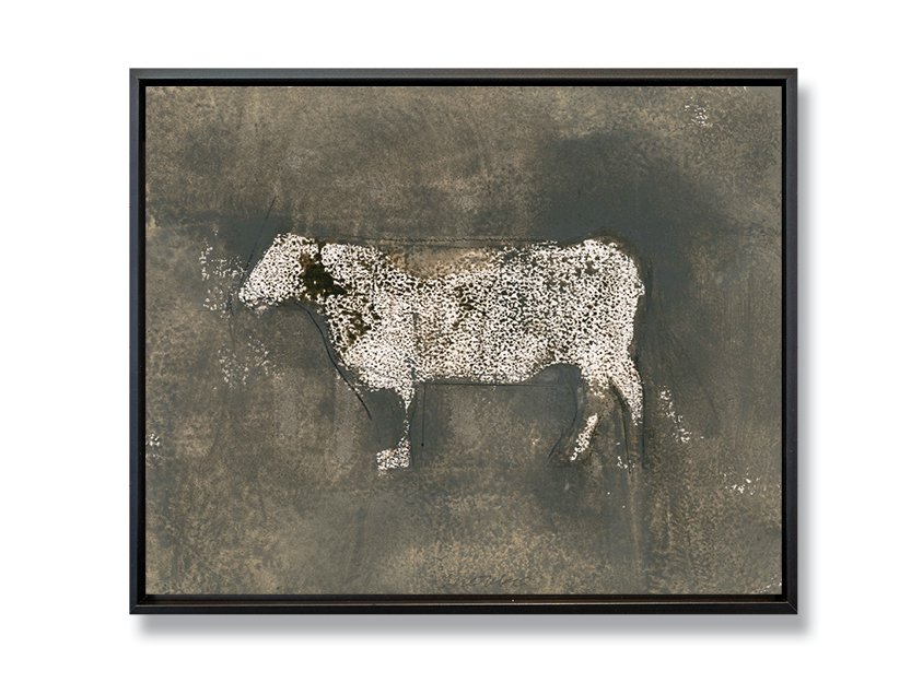 Angus: Standing Cow XVI