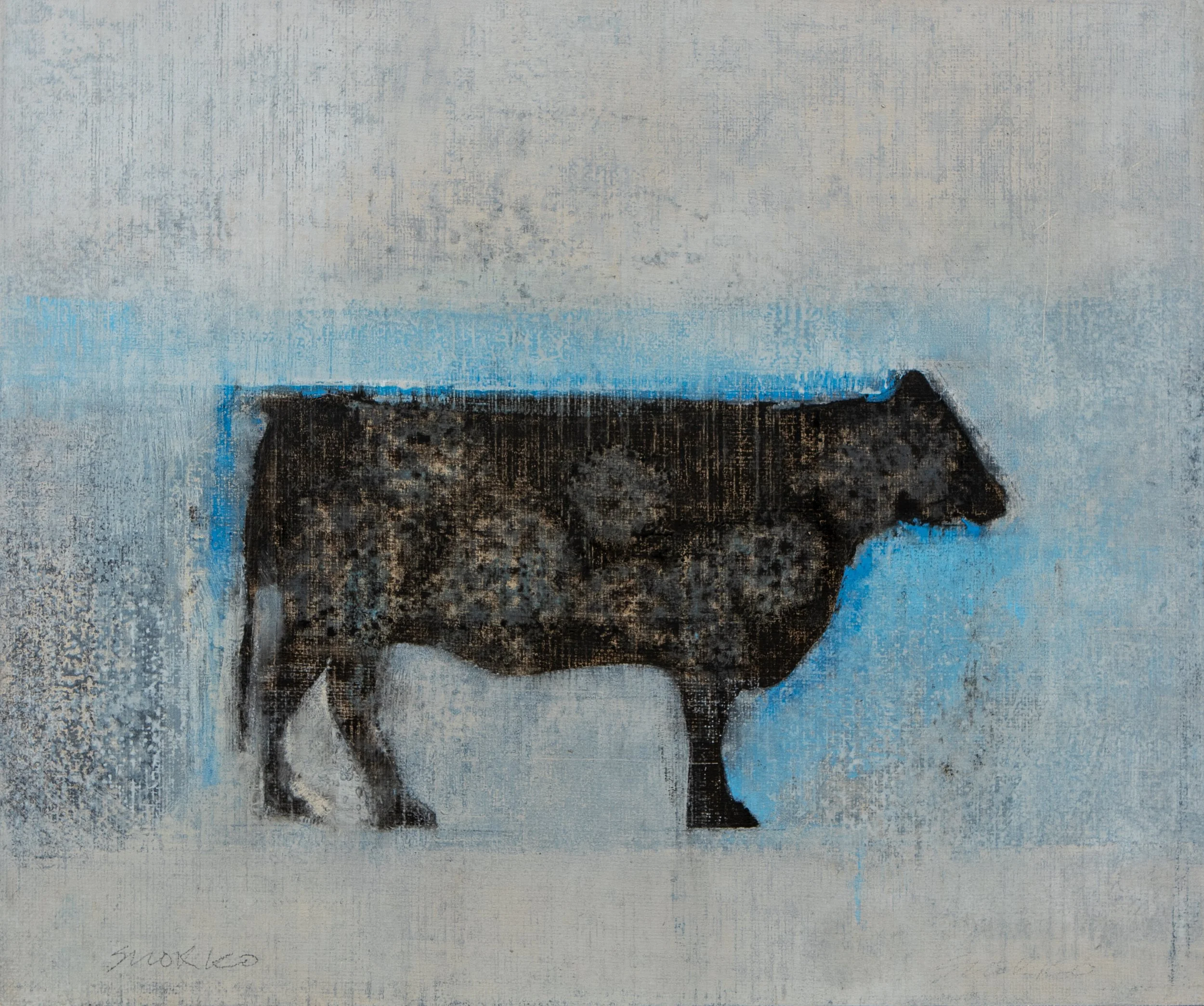 Standing black angus cow, outlined in blue, oil on linen.