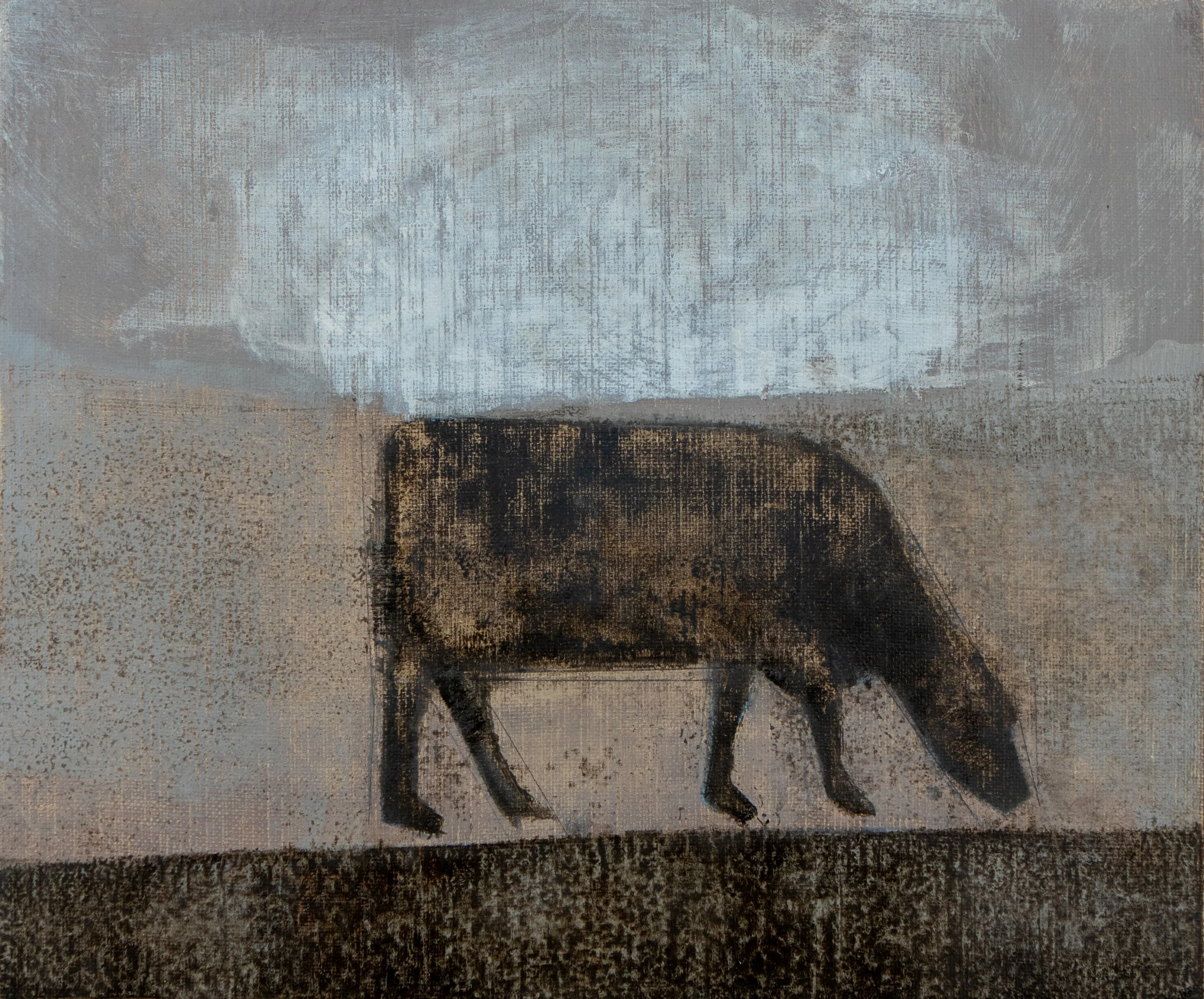 Grazing cow on a hill with a cloud above.
