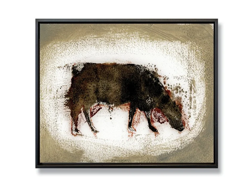 Angus: Grazing Cow X