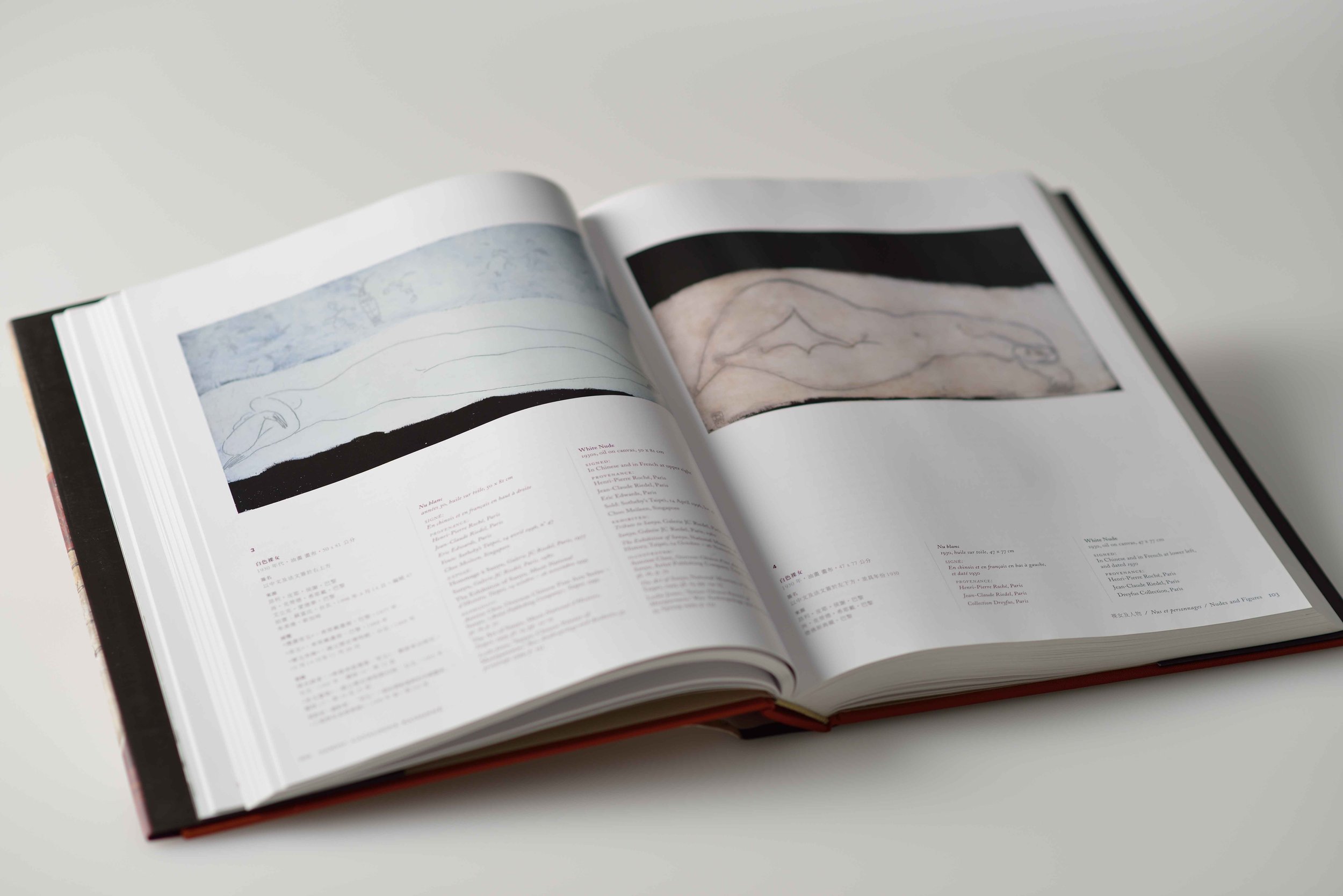 SANYU Catalogue Raisonné, Oil Paintings, Volume One, book.