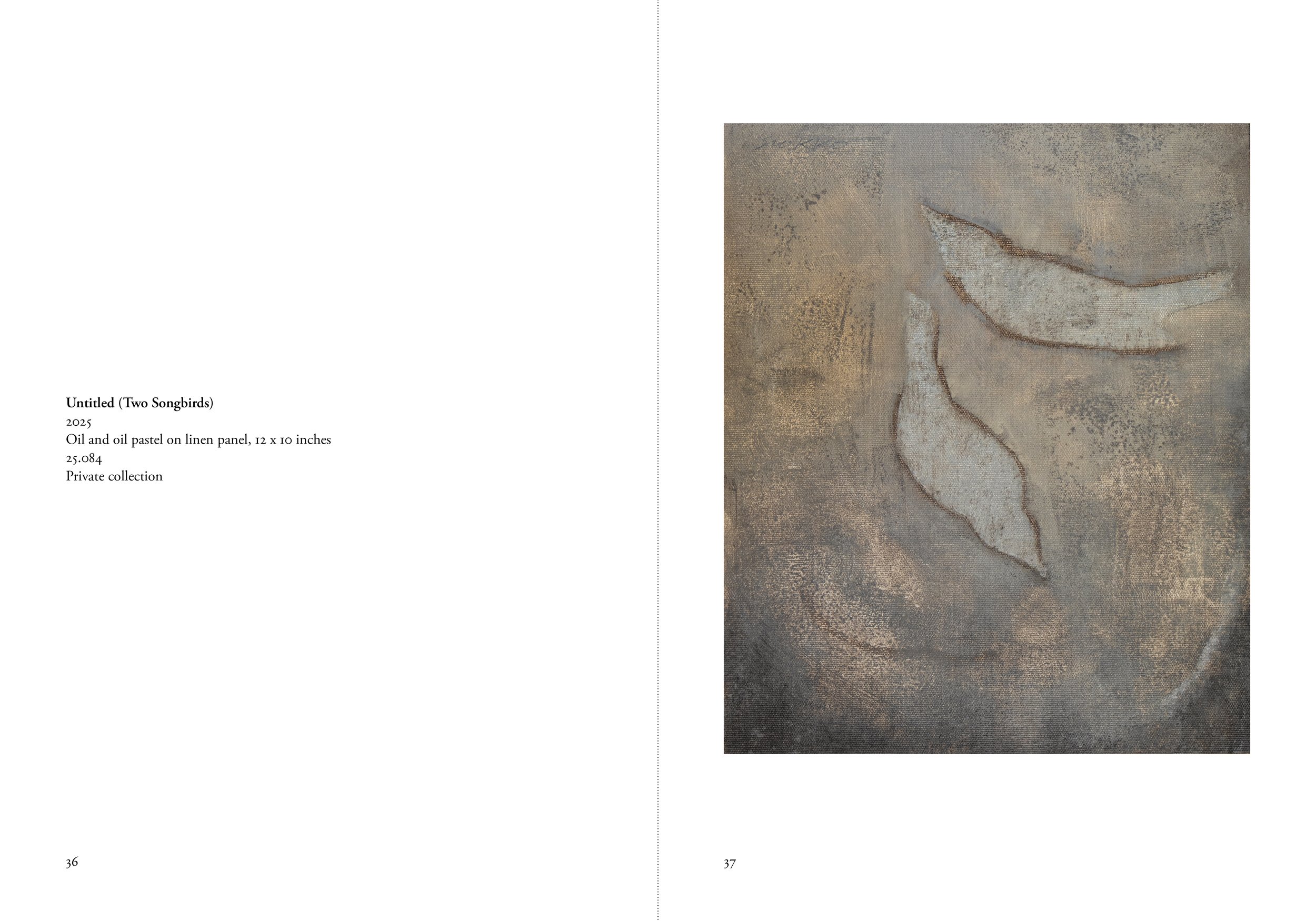 Pages from "Birds", Glenn Suokko Books.