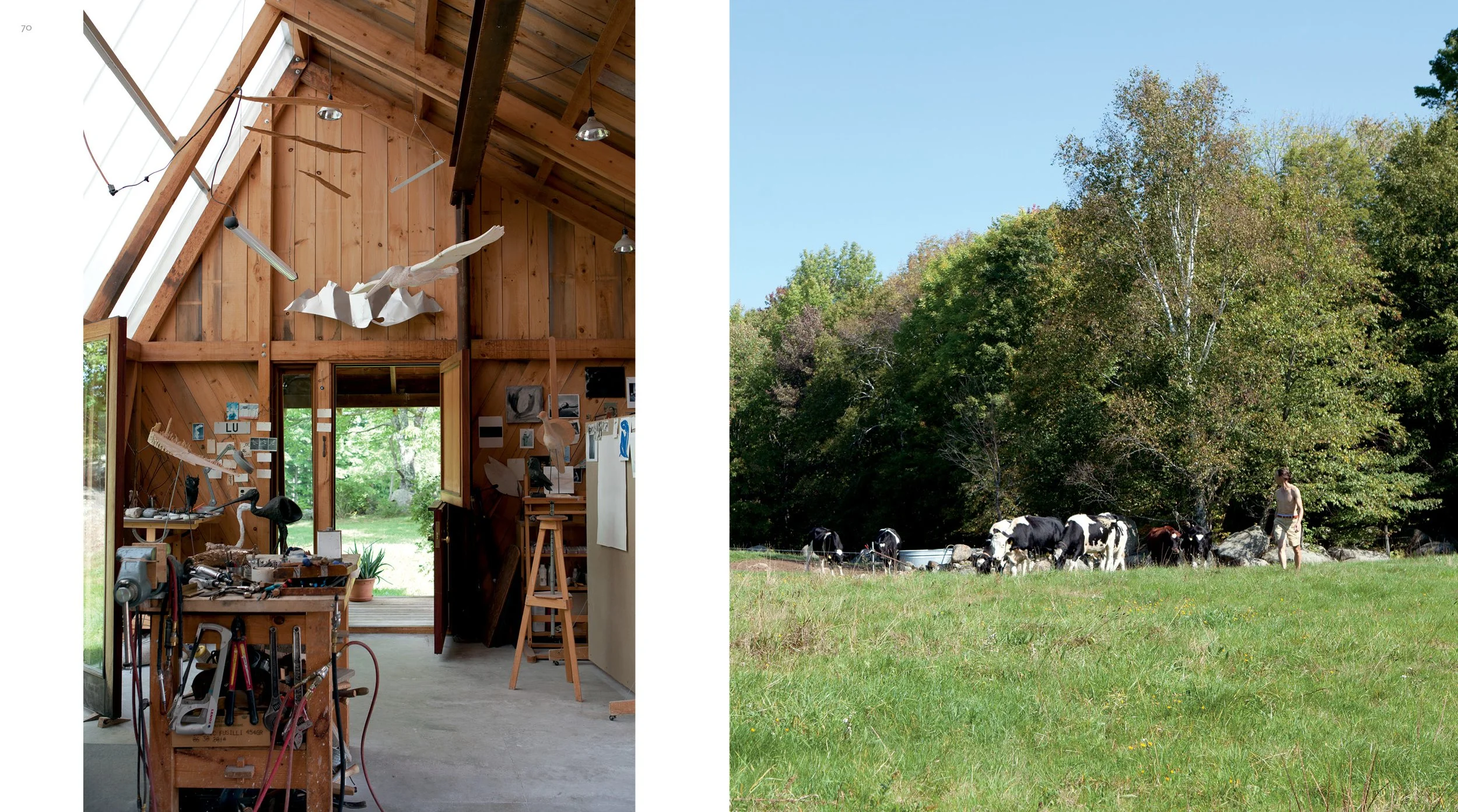 Peter France, book: studio and field of cows.