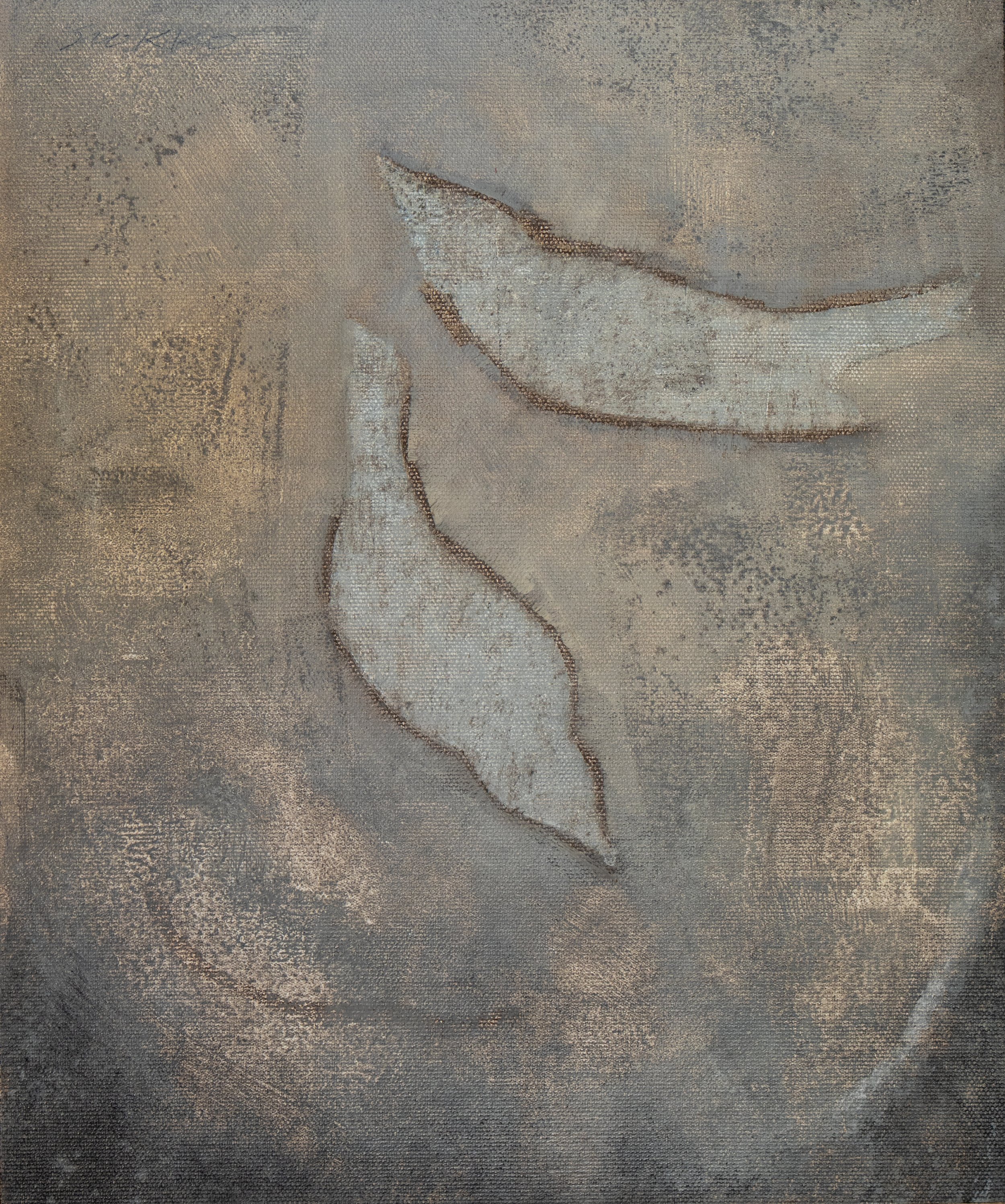 From the Birds series, oil on linen by Glenn Suokko.