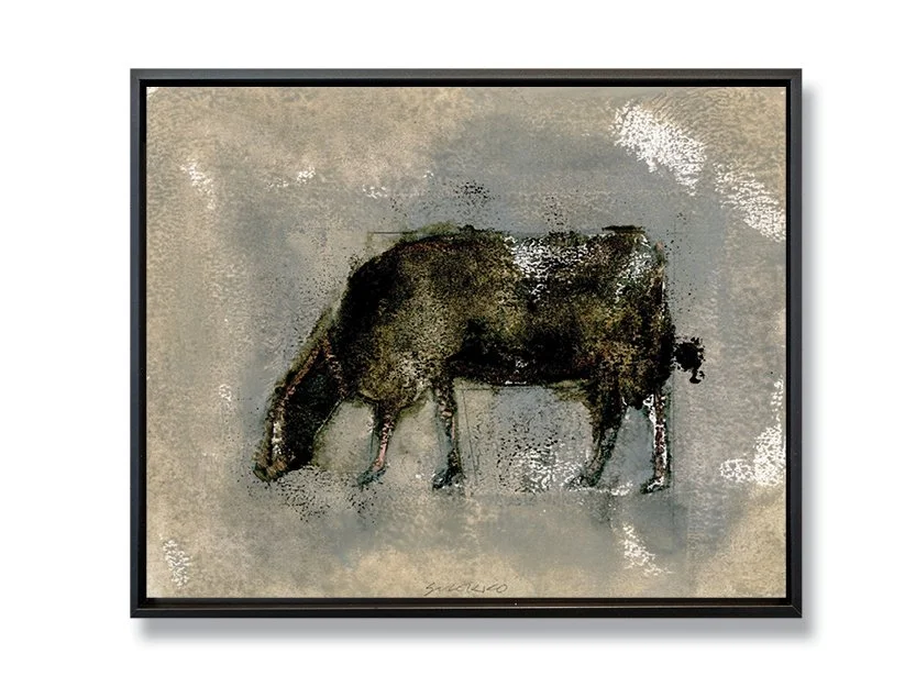 Angus: Grazing Cow XVI