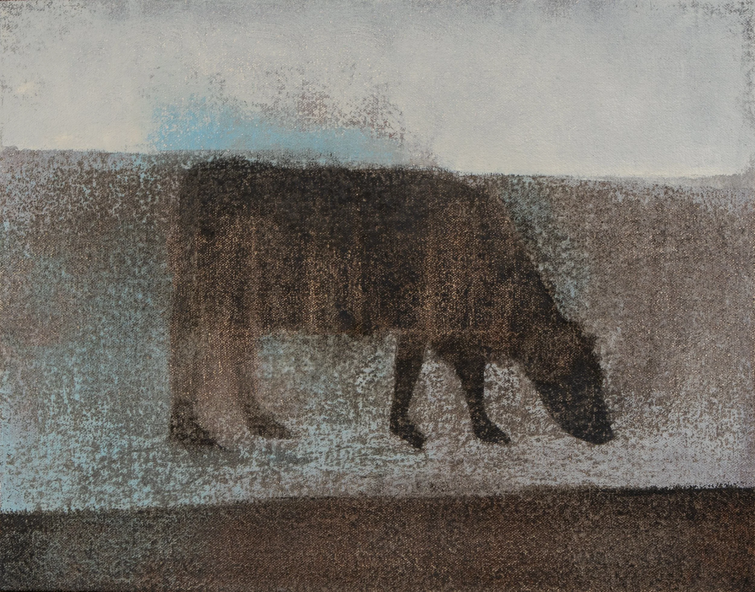 Oil painting on canvas, black cow grazing.