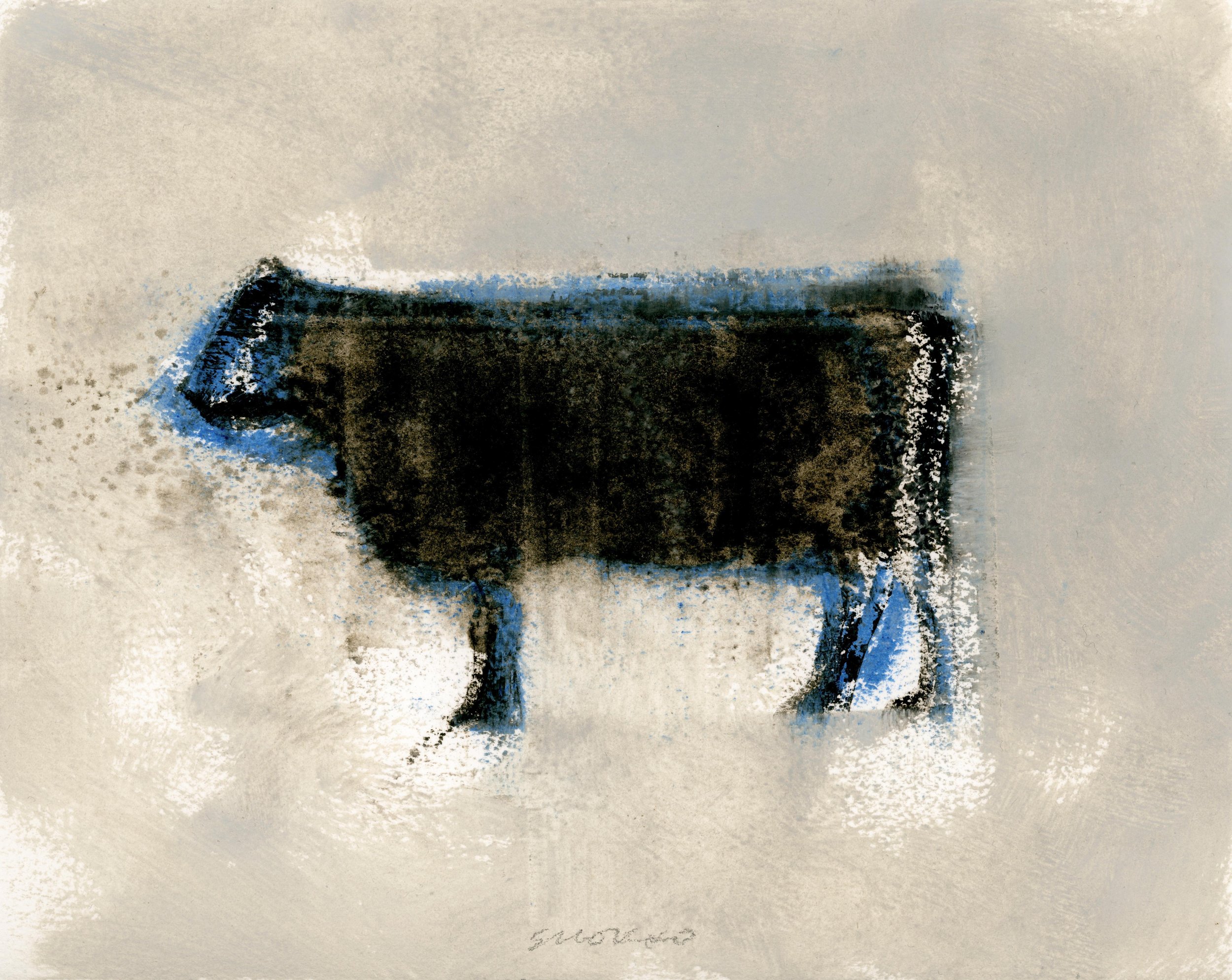 Angus: Standing Cow VII