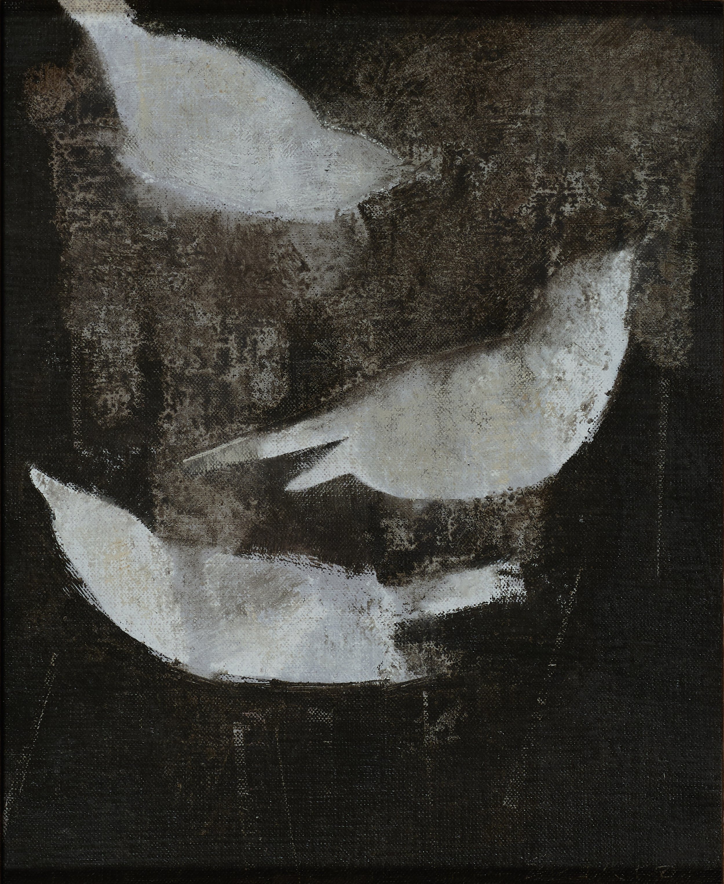Three birds on a dark background, oil on linen by Glenn Suokko.