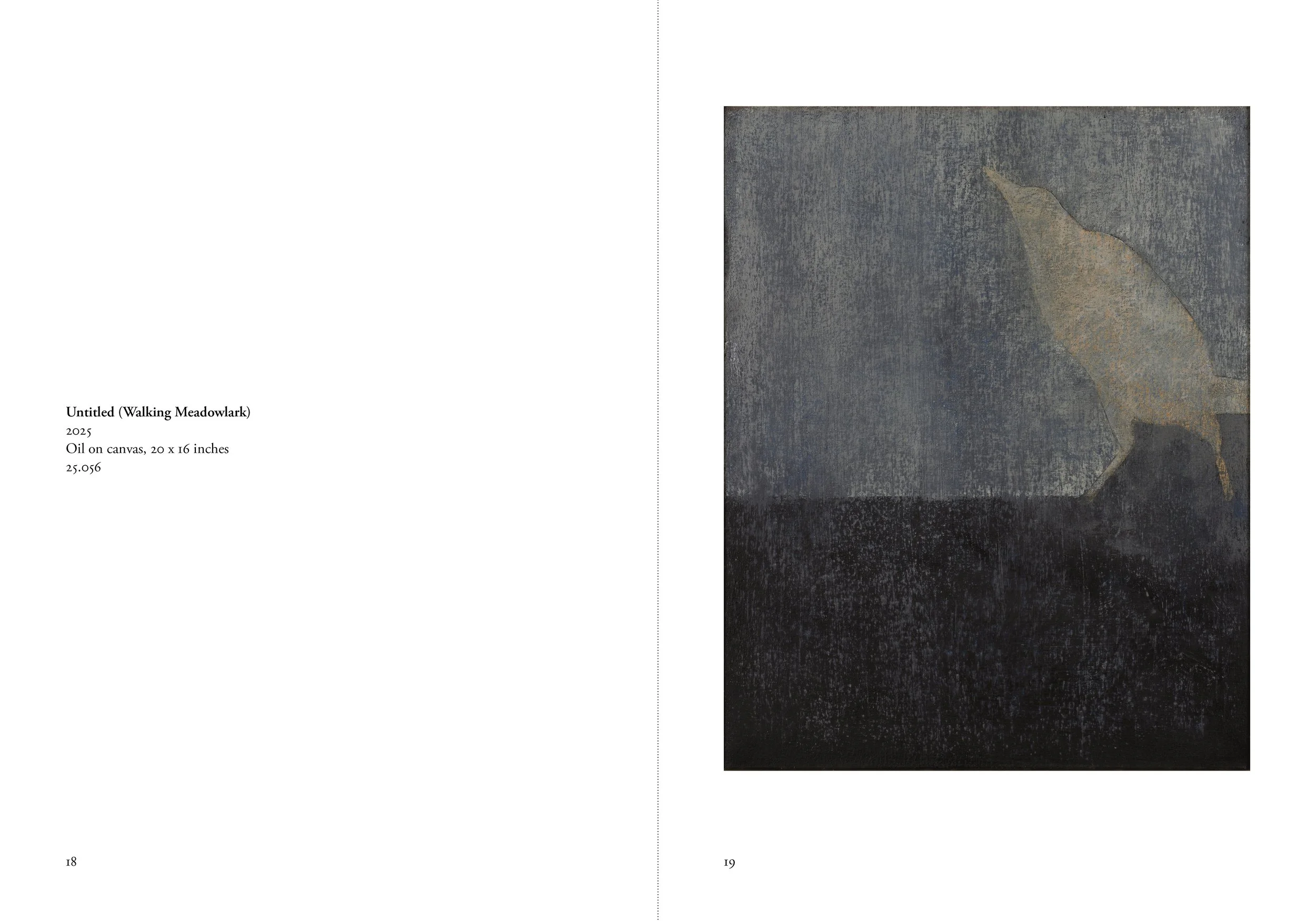 Pages from "Birds", Glenn Suokko Books.
